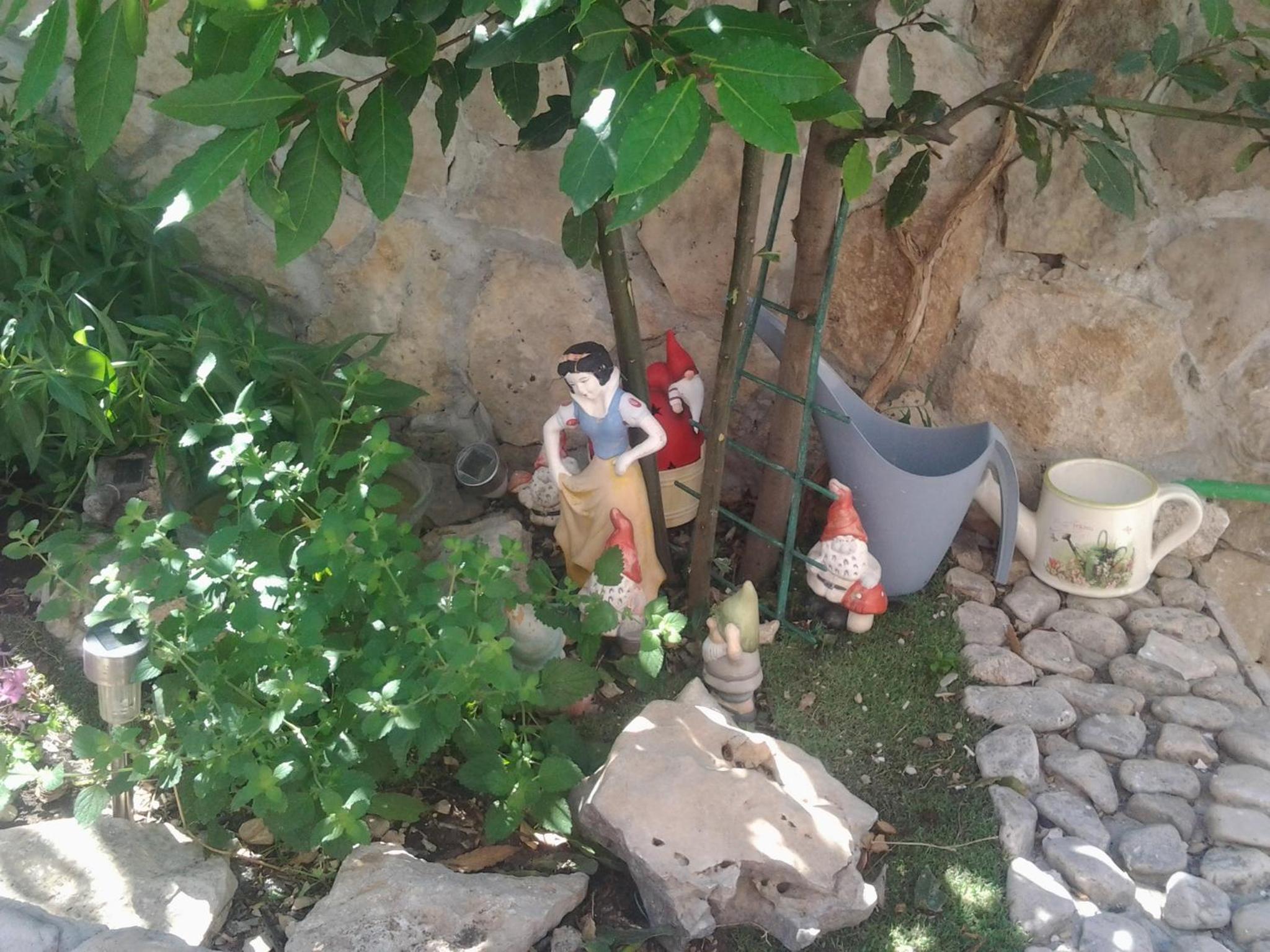 Photo 31