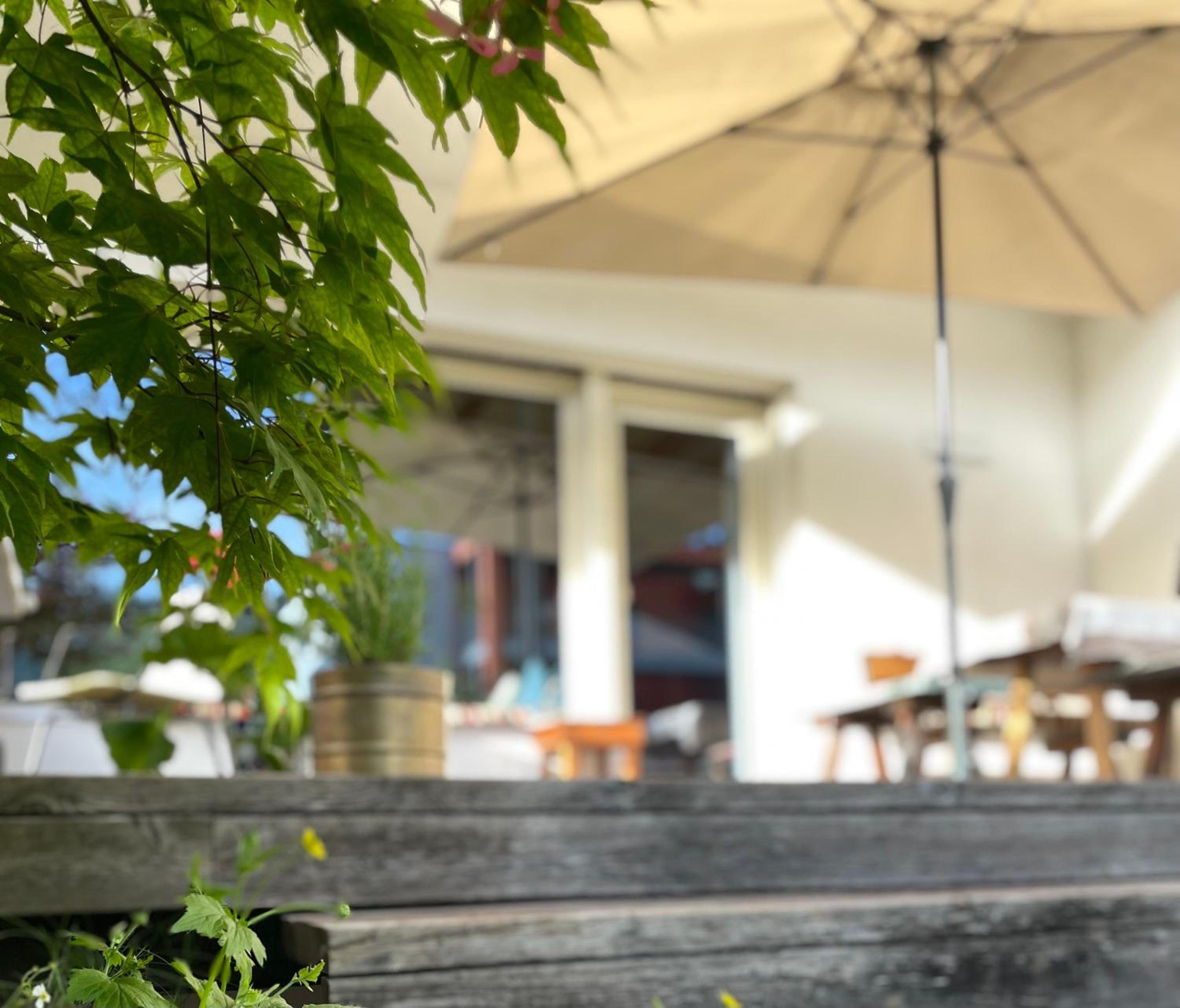 Villa Maria Dolomites Vintage Home view 5