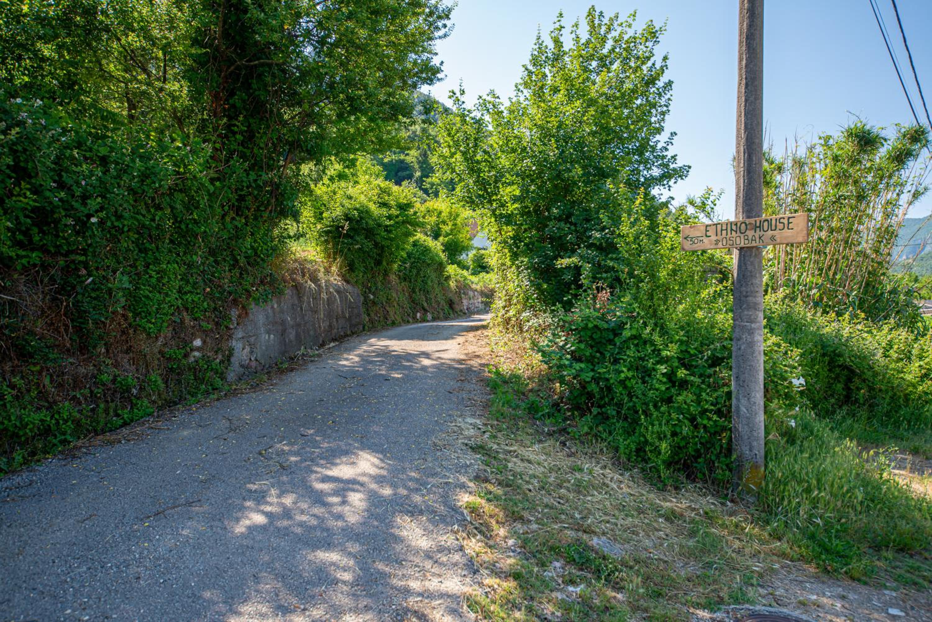 Photo 40