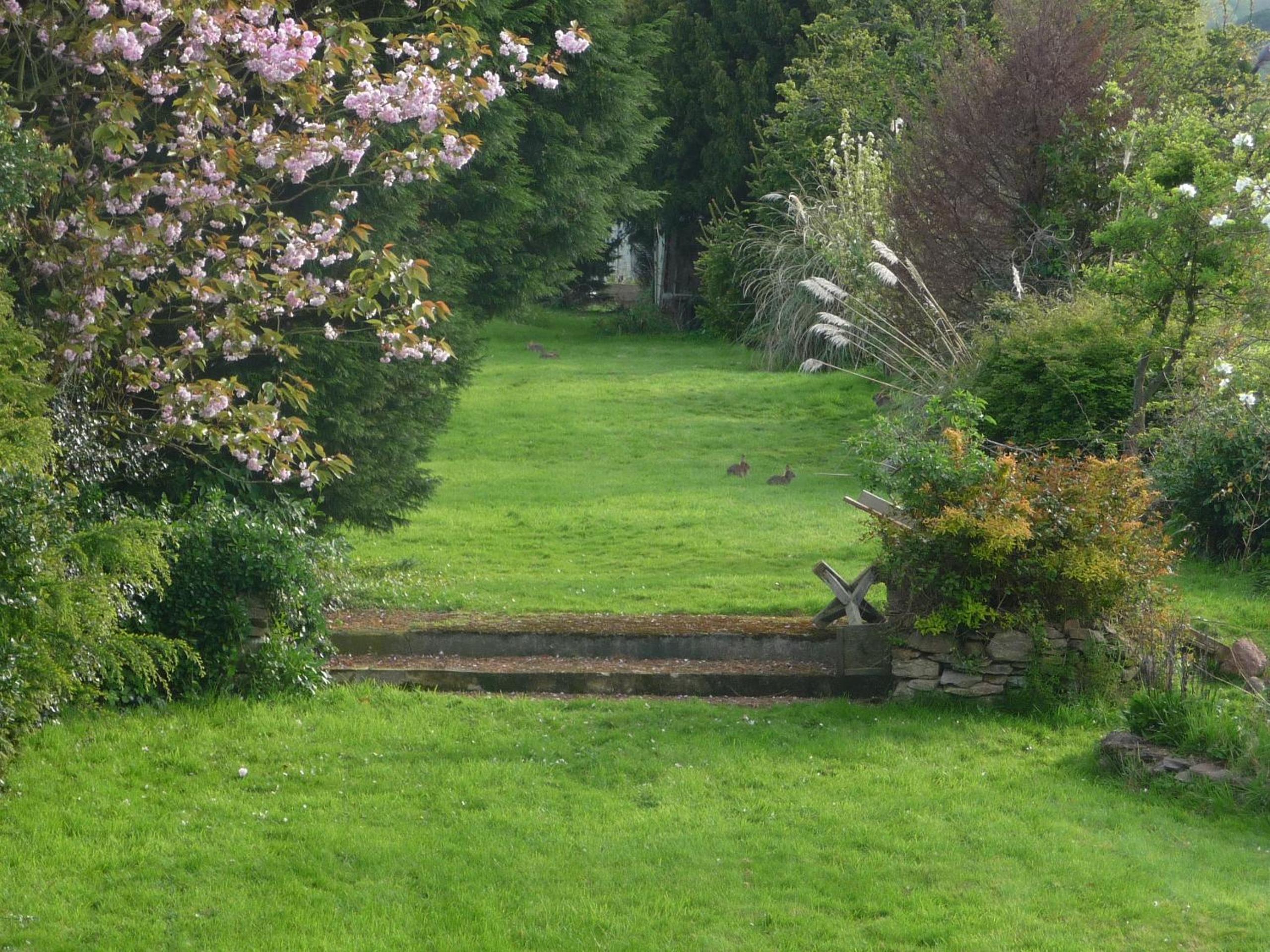 garden