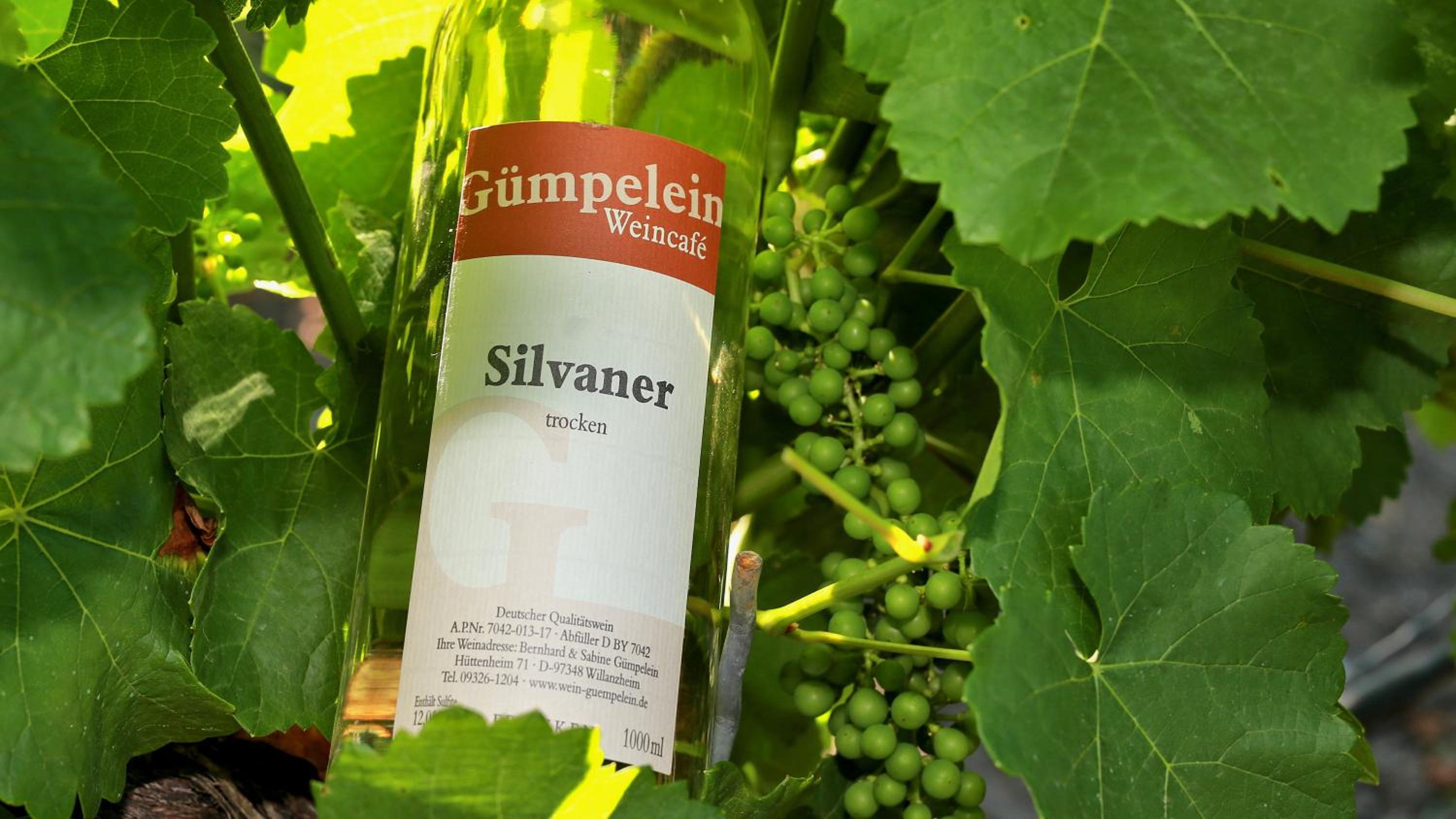 Winzerhof & Weincafe Gümpelein