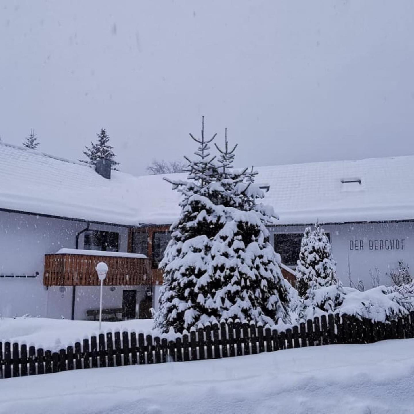 Pension - Der Berghof