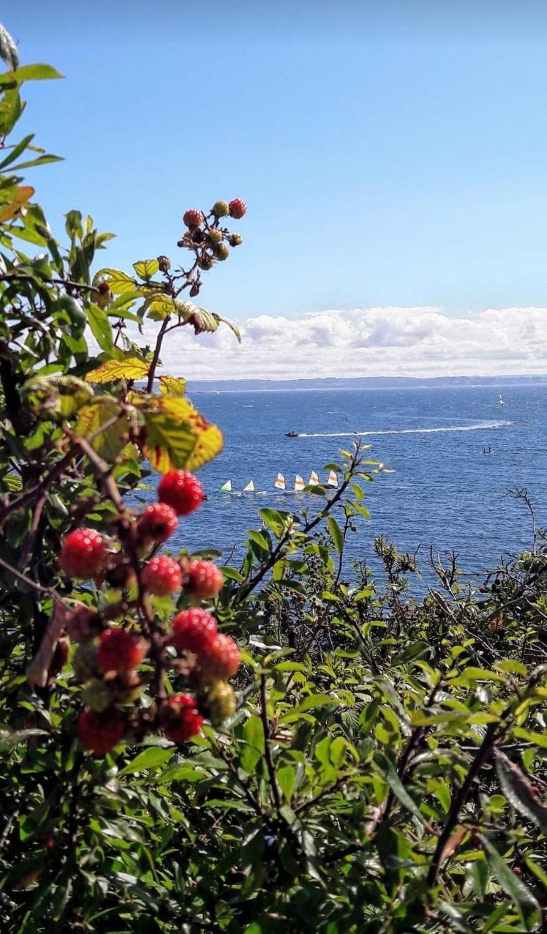 Photo 67