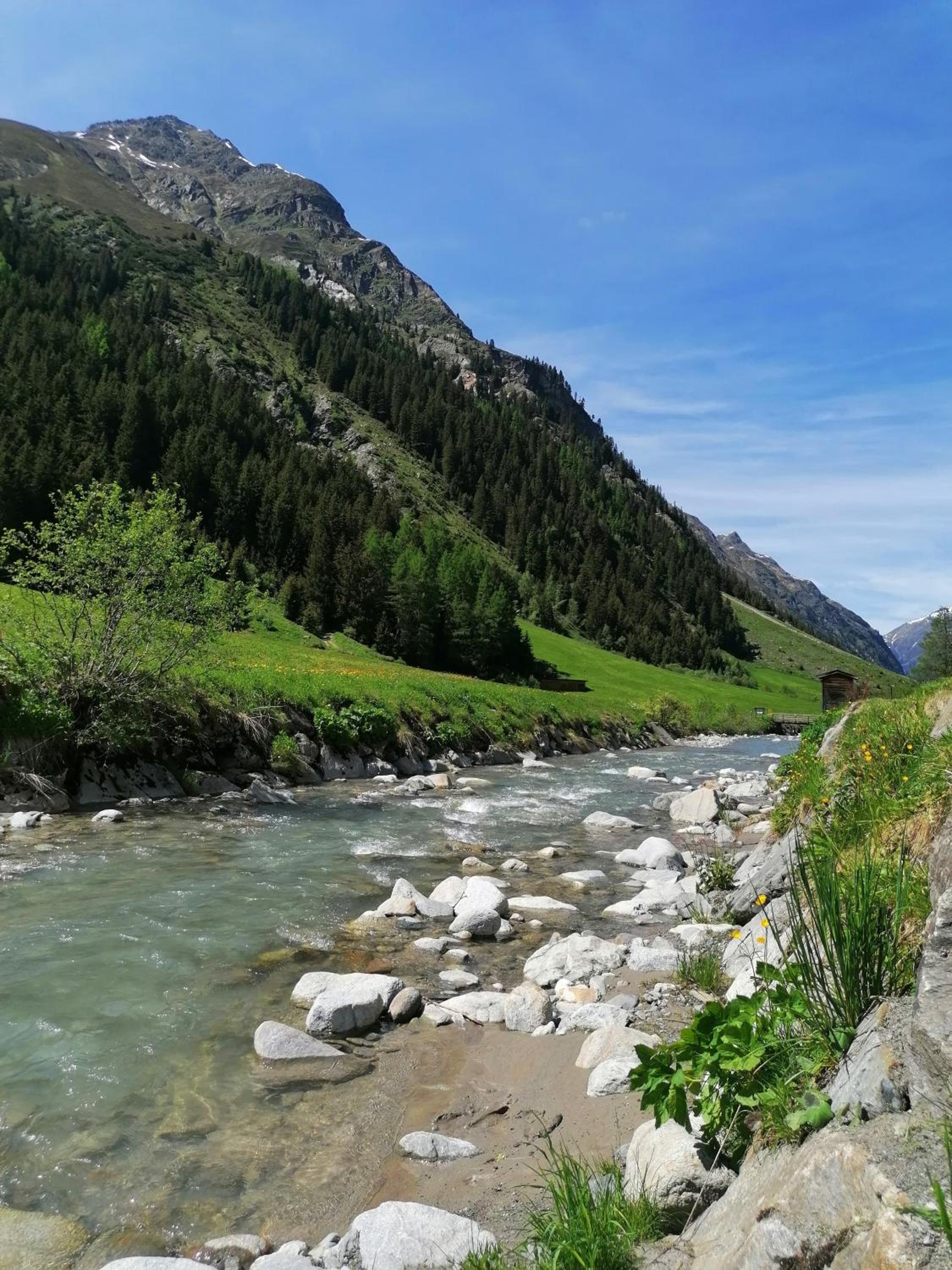 Photo 40
