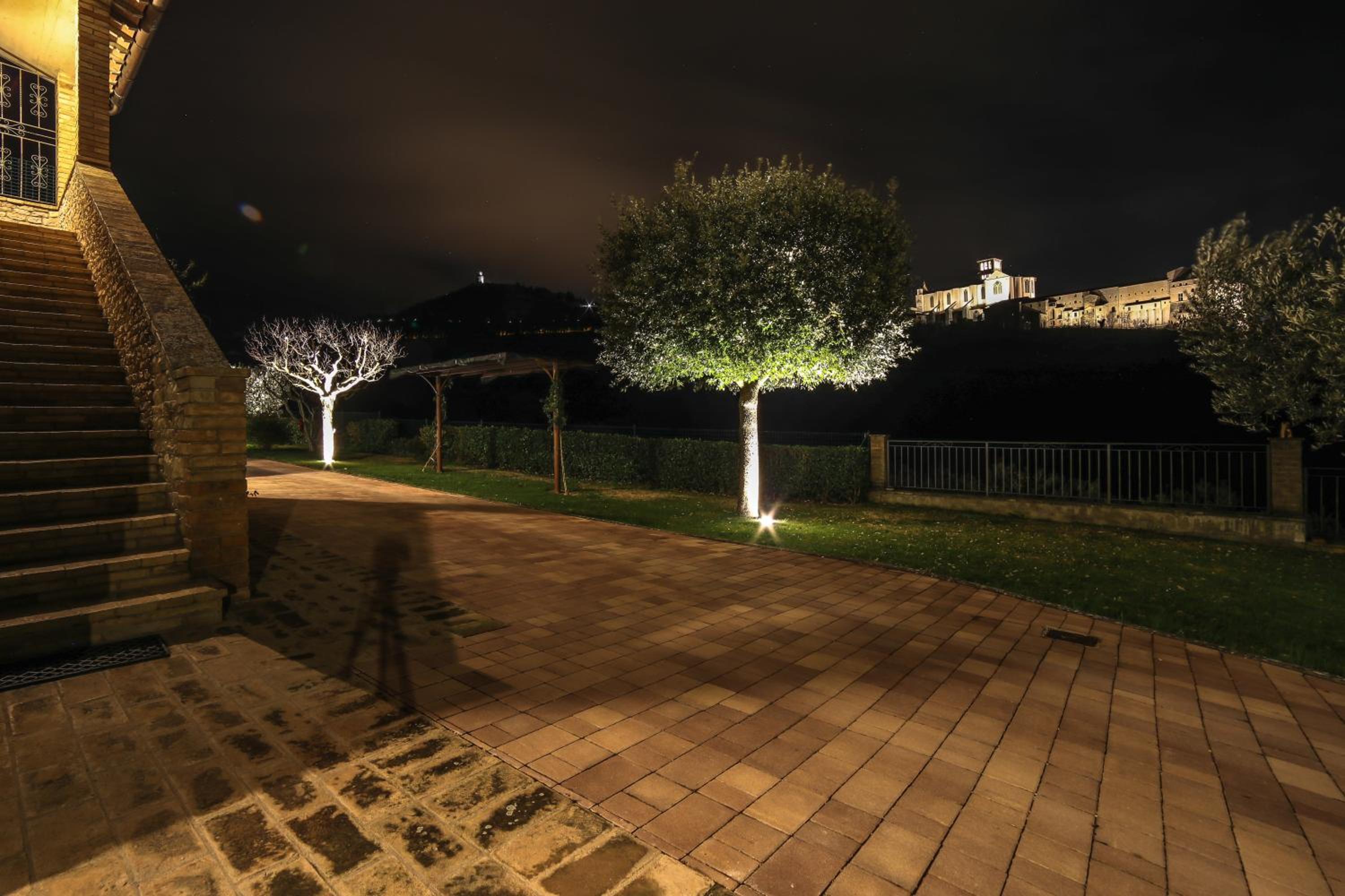 La Casa Tra Gli Ulivi view 2