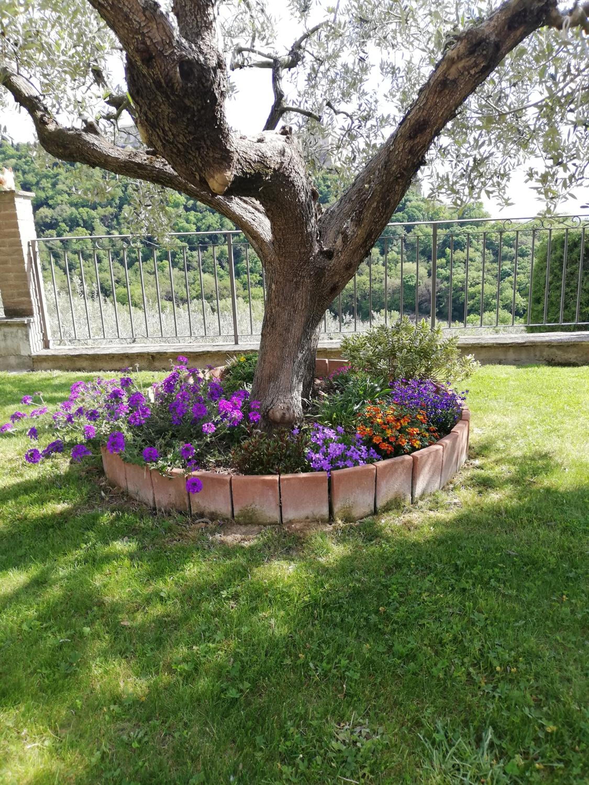 Photo 29