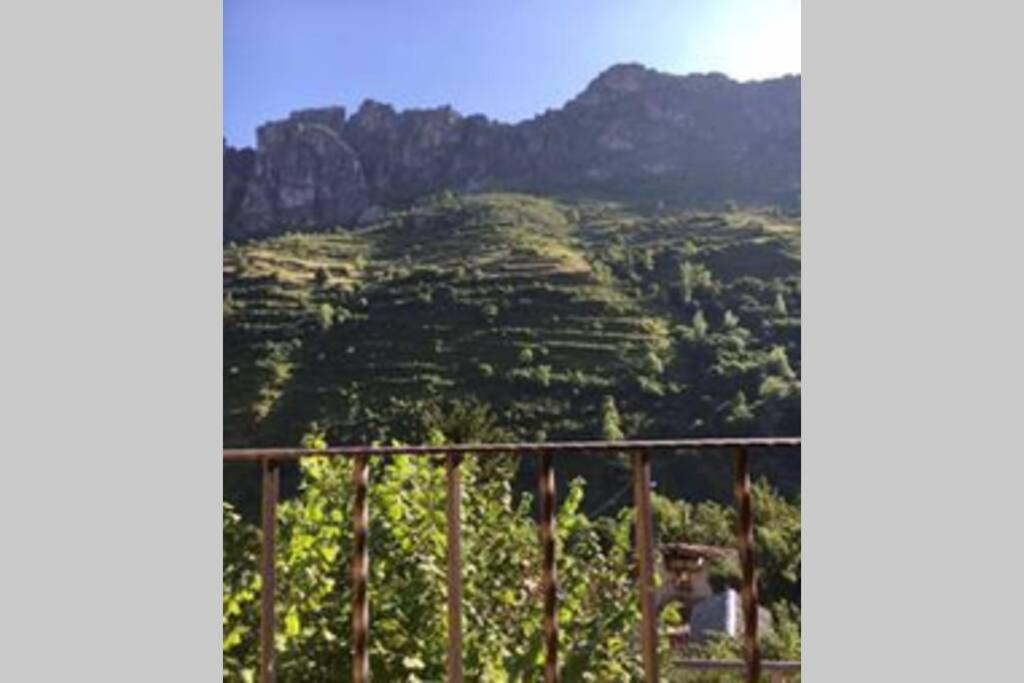 La Osera del Coto view 4