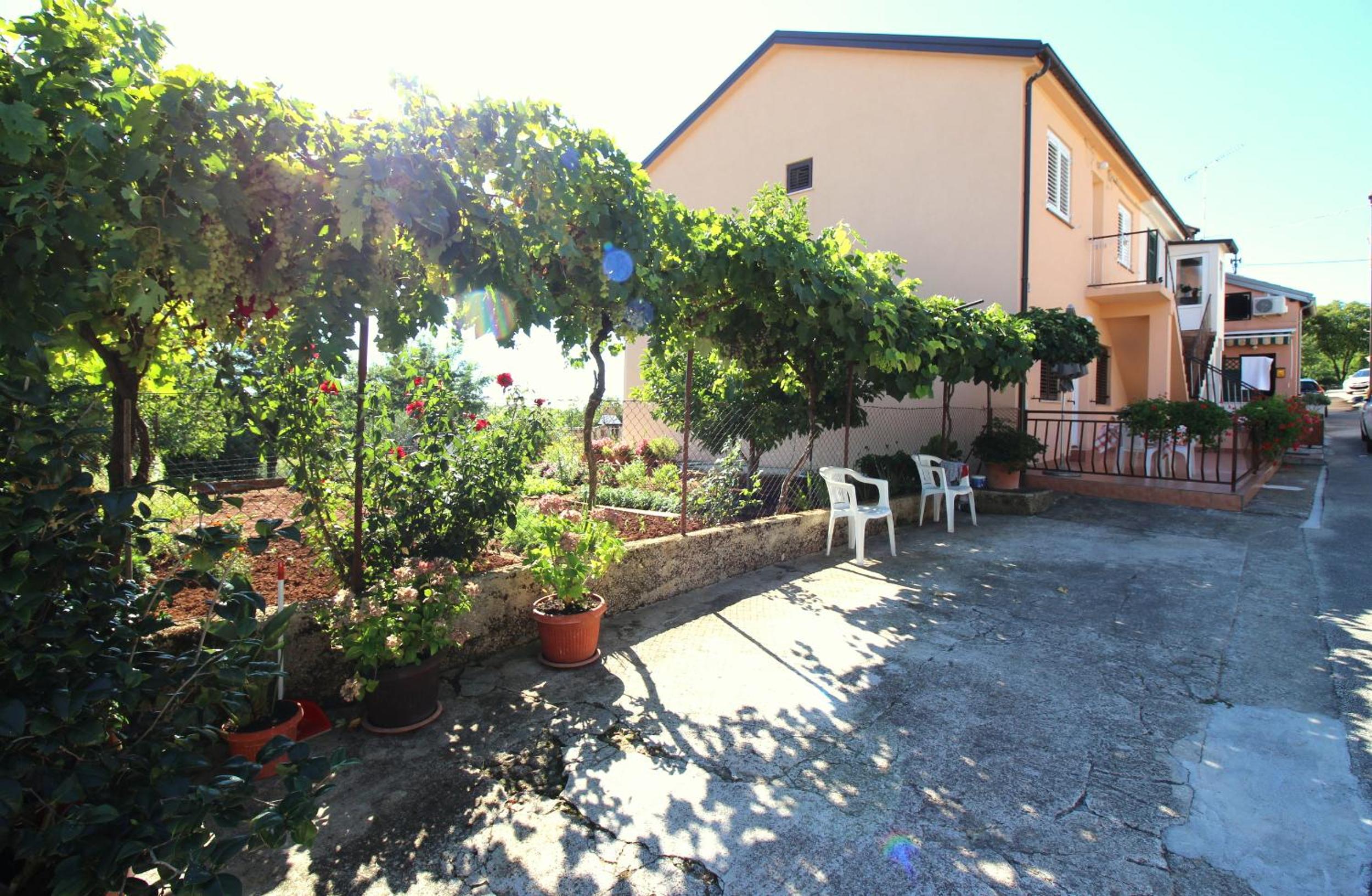 Photo 7