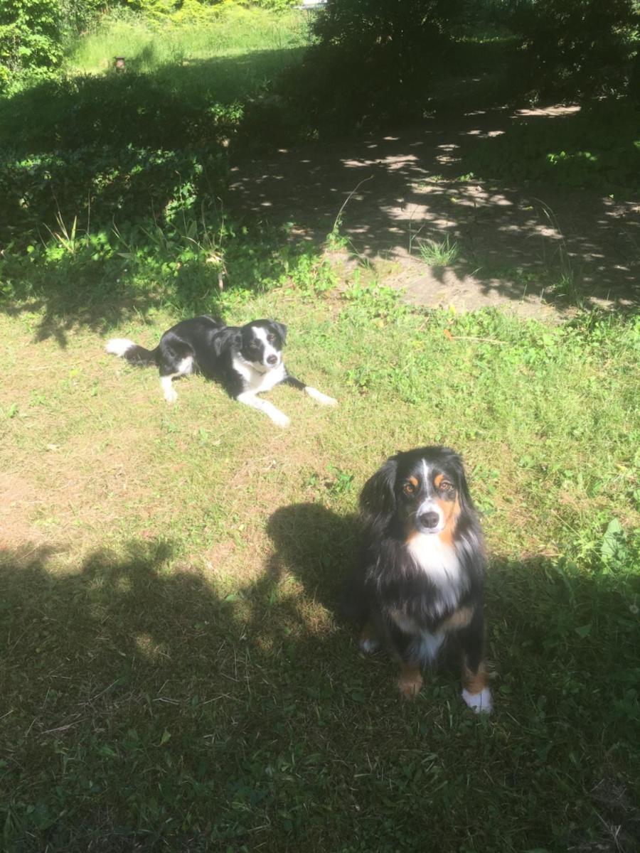 Photo 21