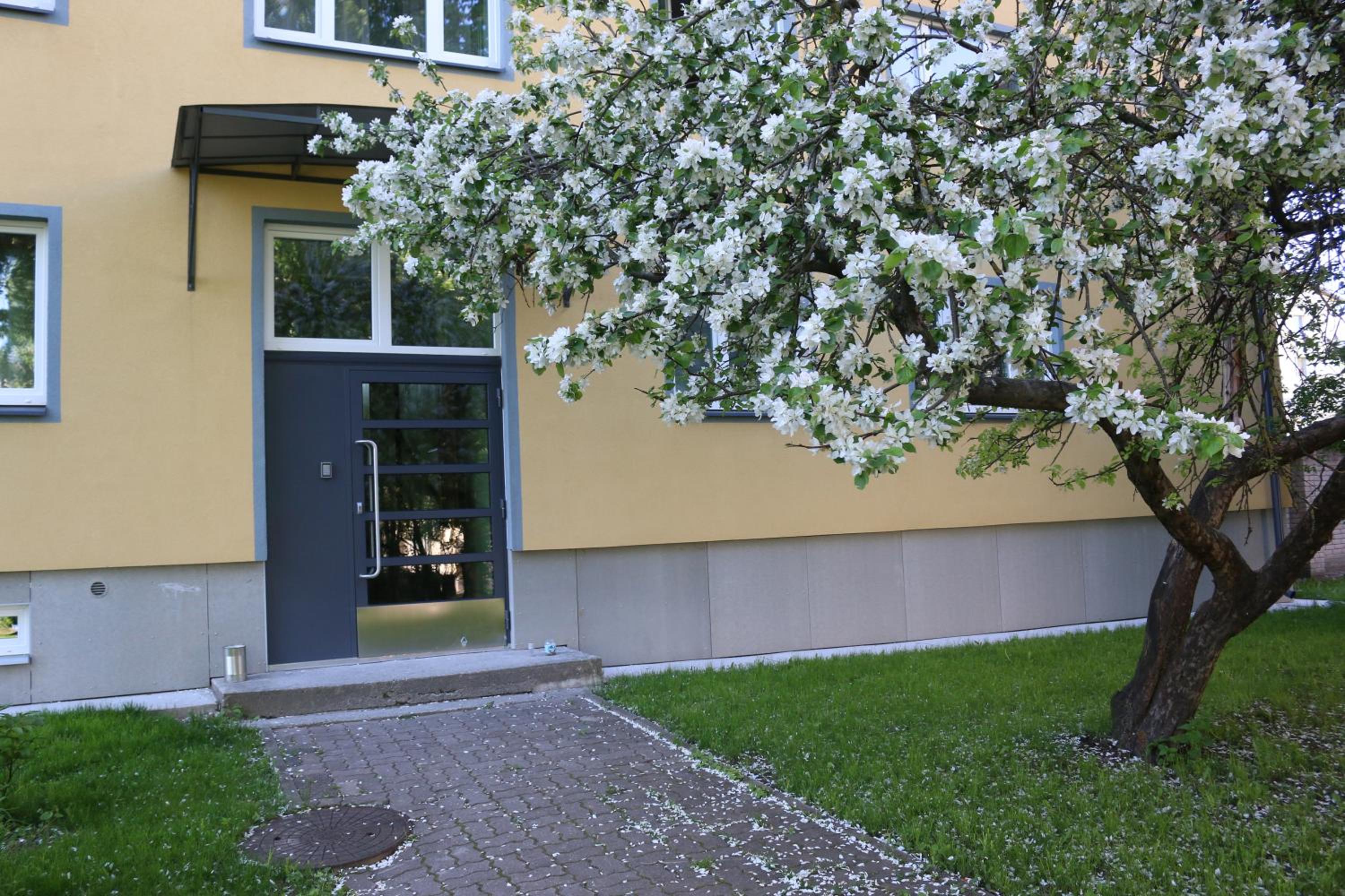 Tiigi str flats beside Old Town, parking Tartu Home