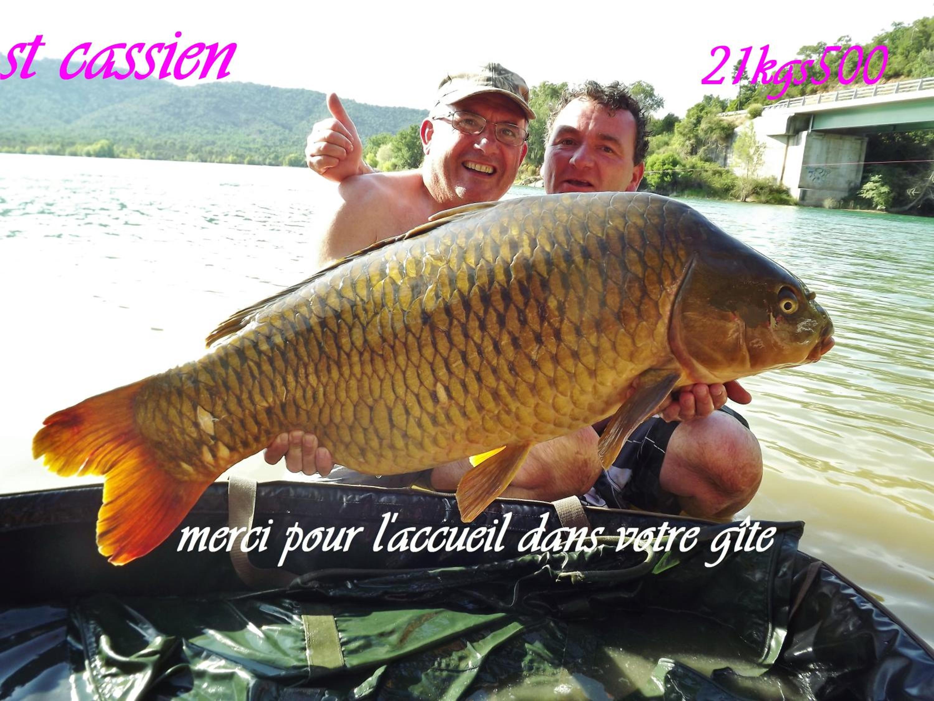Photo 7