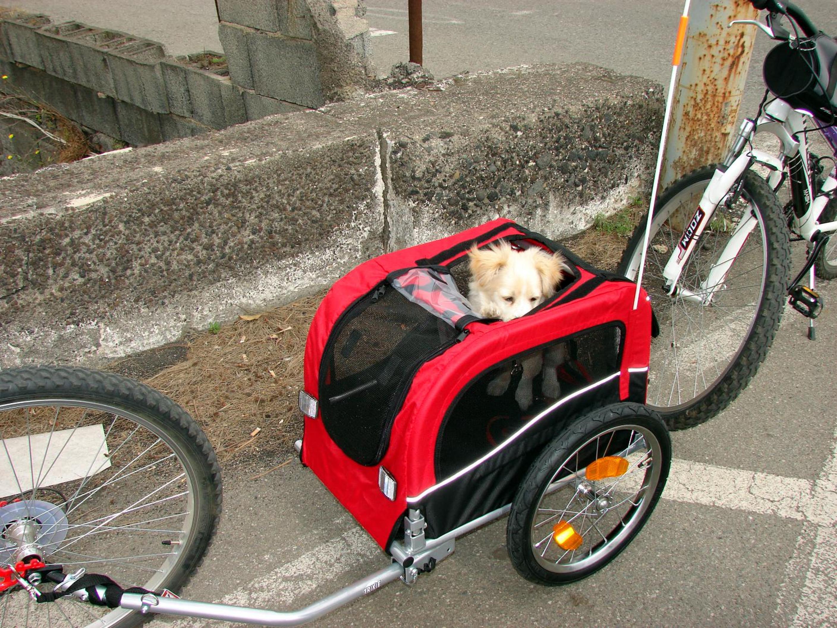 Photo 31