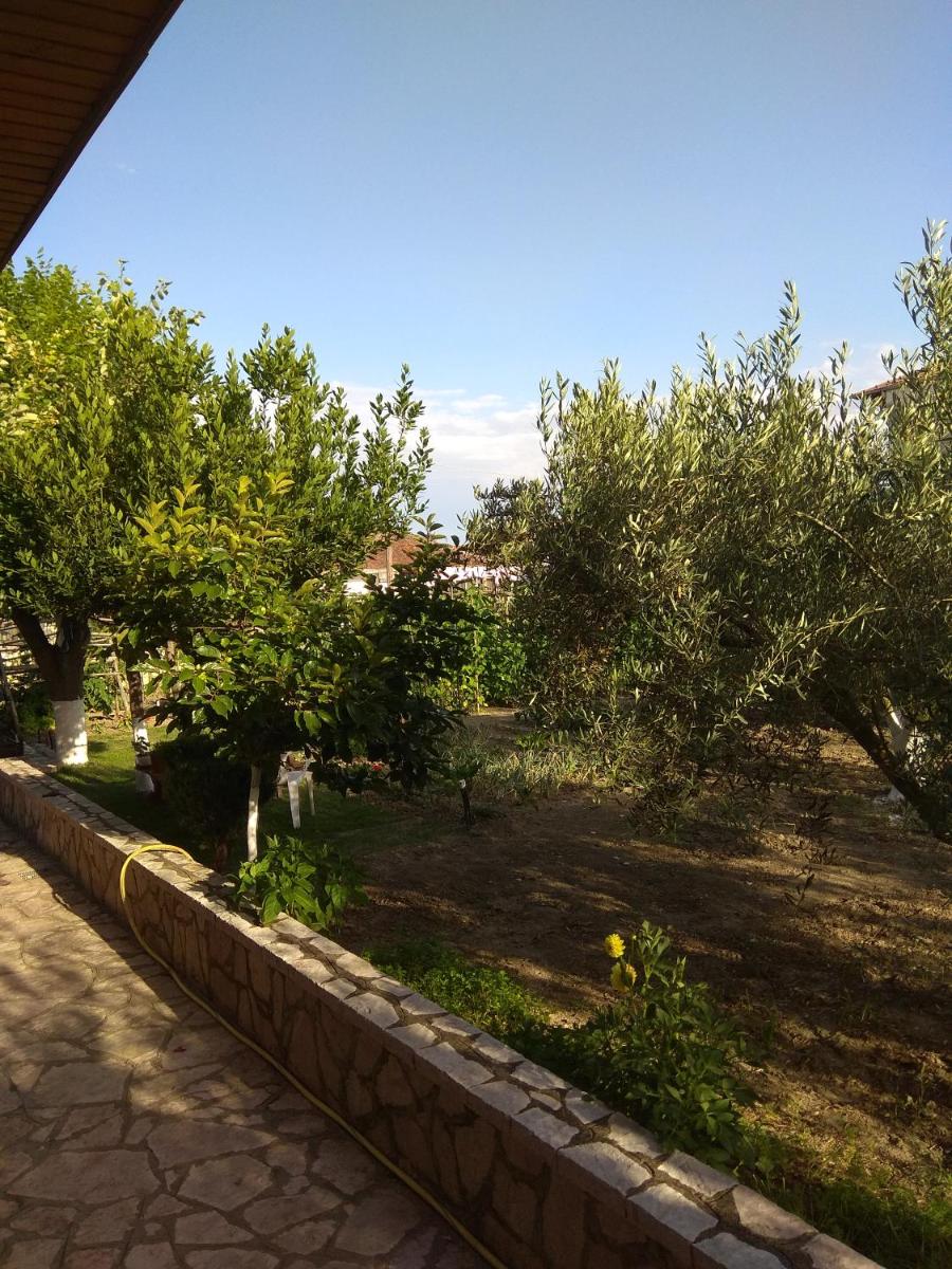 Photo 53