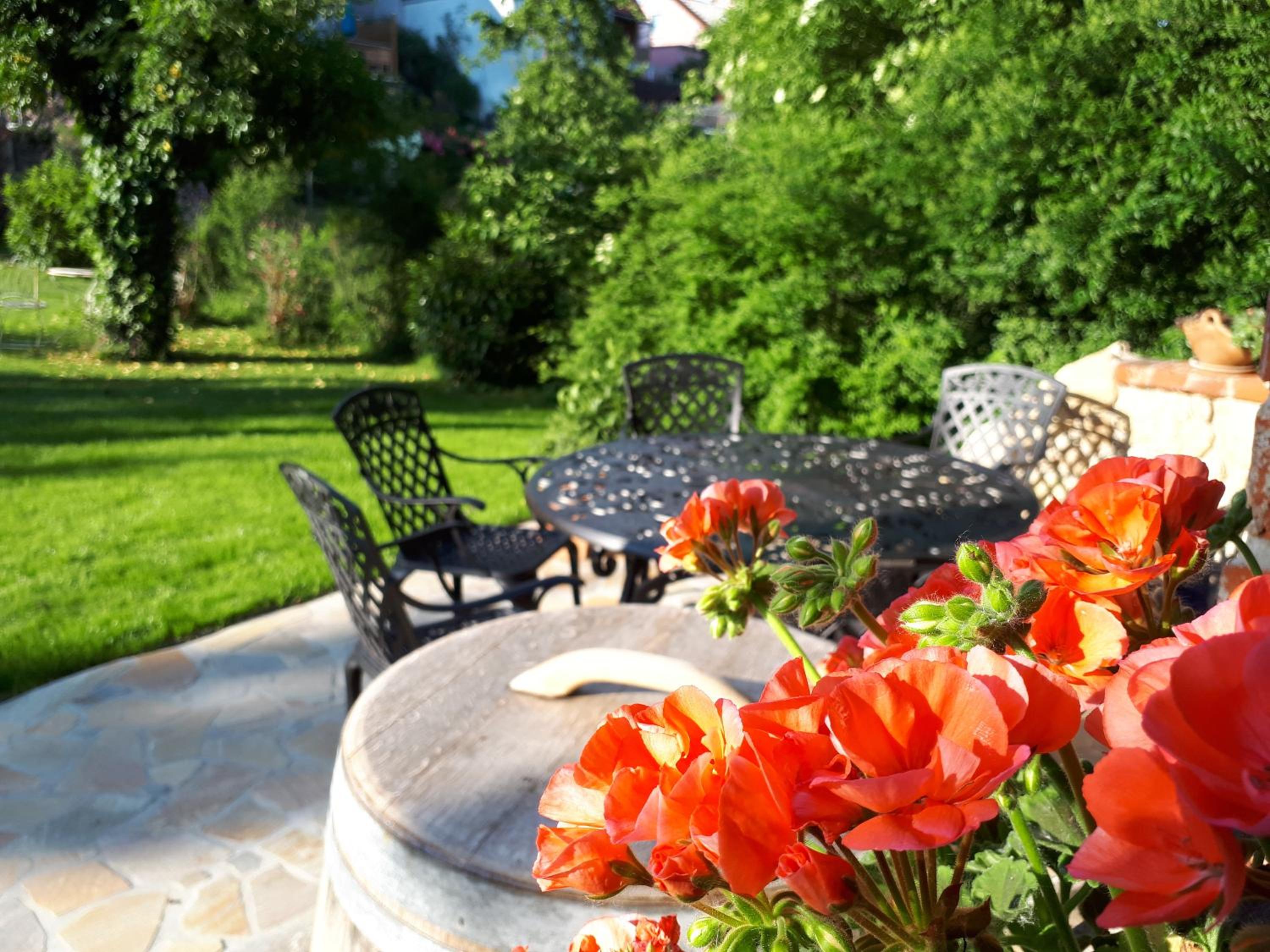 Pension am Weinberg Bed & Breakfast