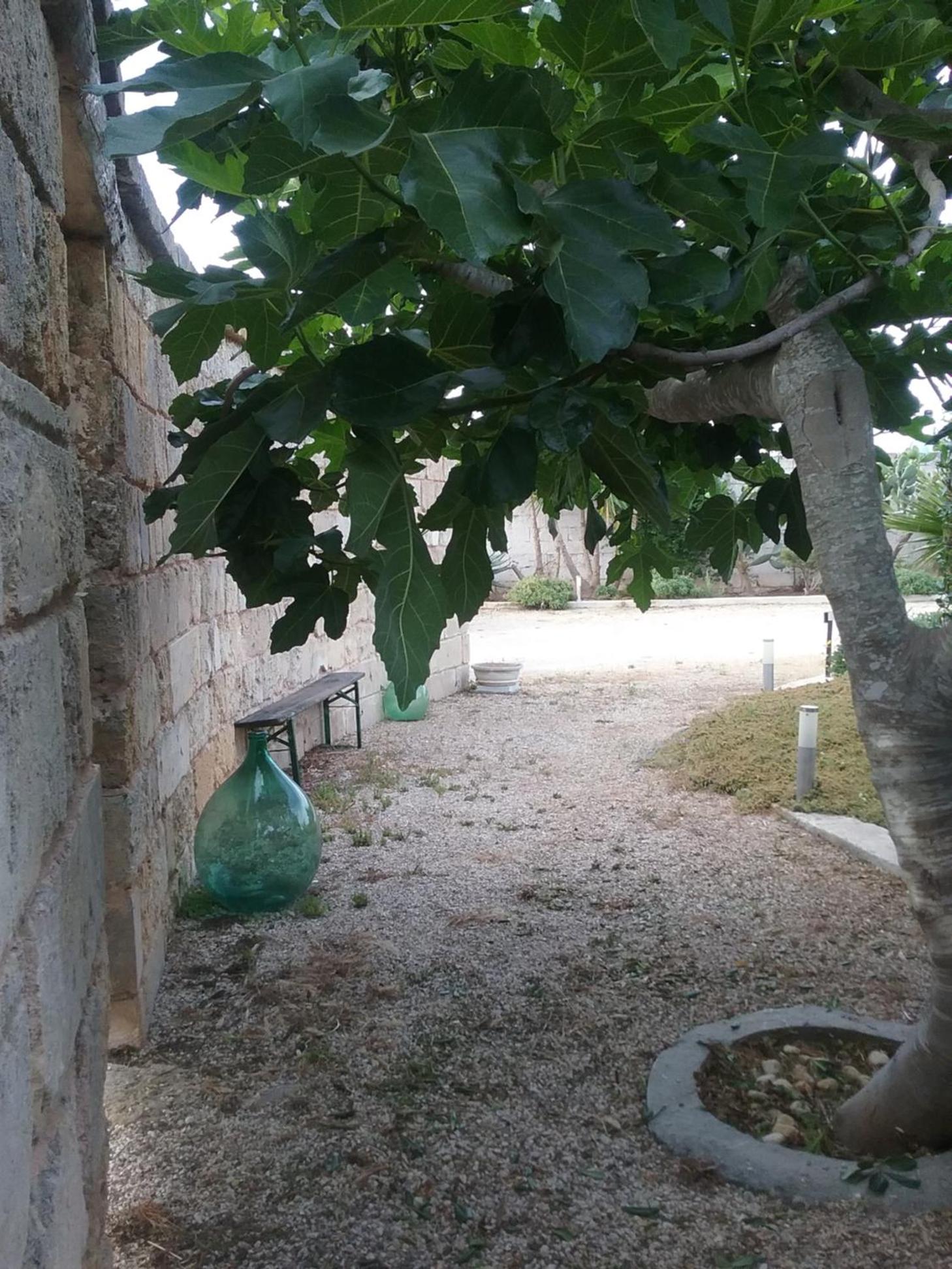 LI CURTI B&B, photo 91