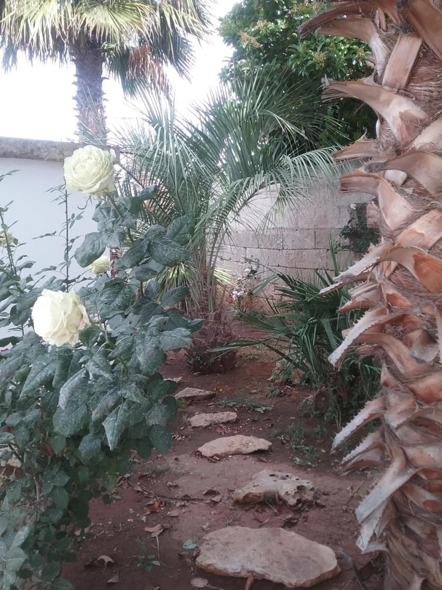 LI CURTI B&B, photo 44