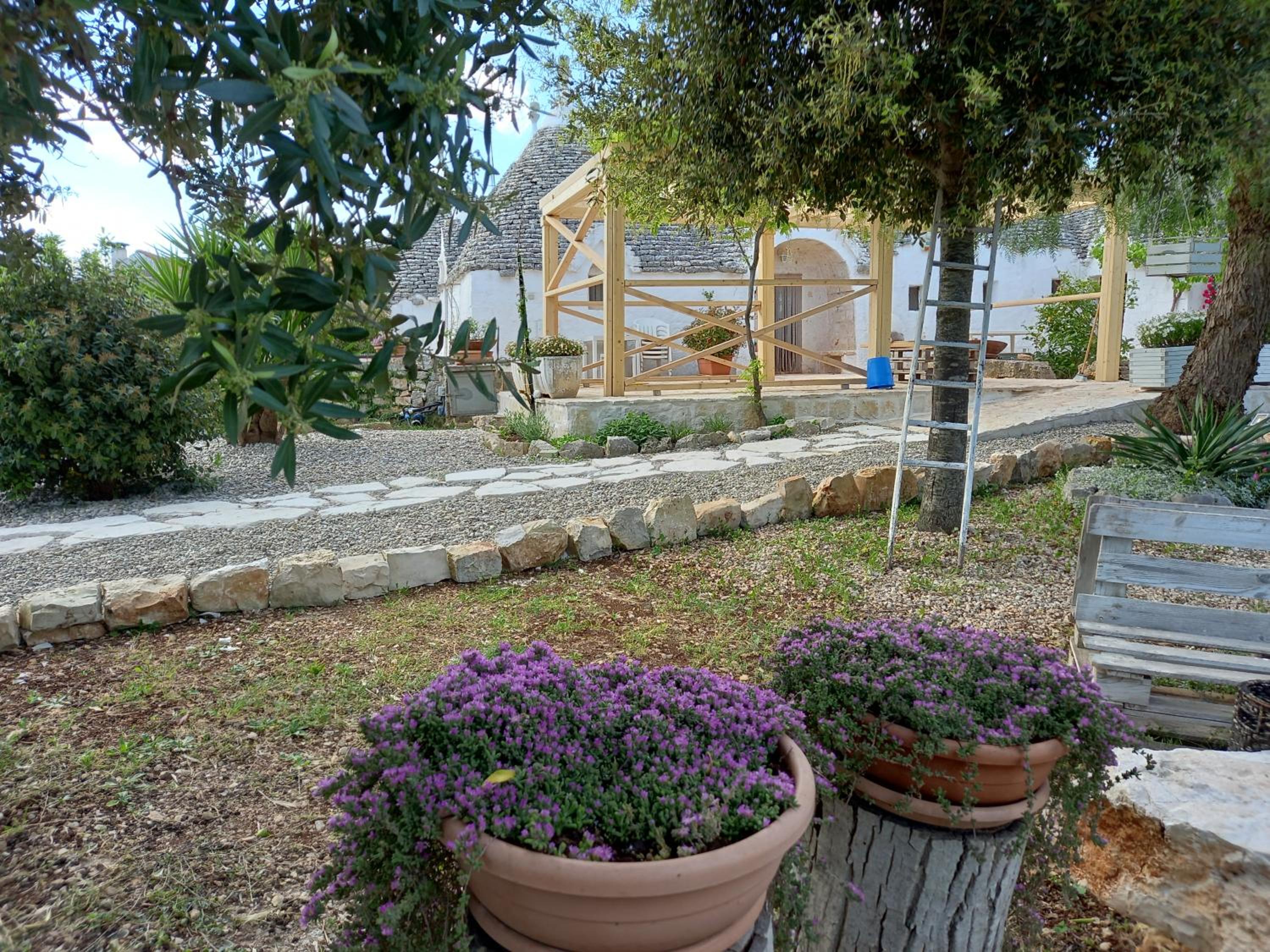 I Trulli Di Nonno Giovanni view 3