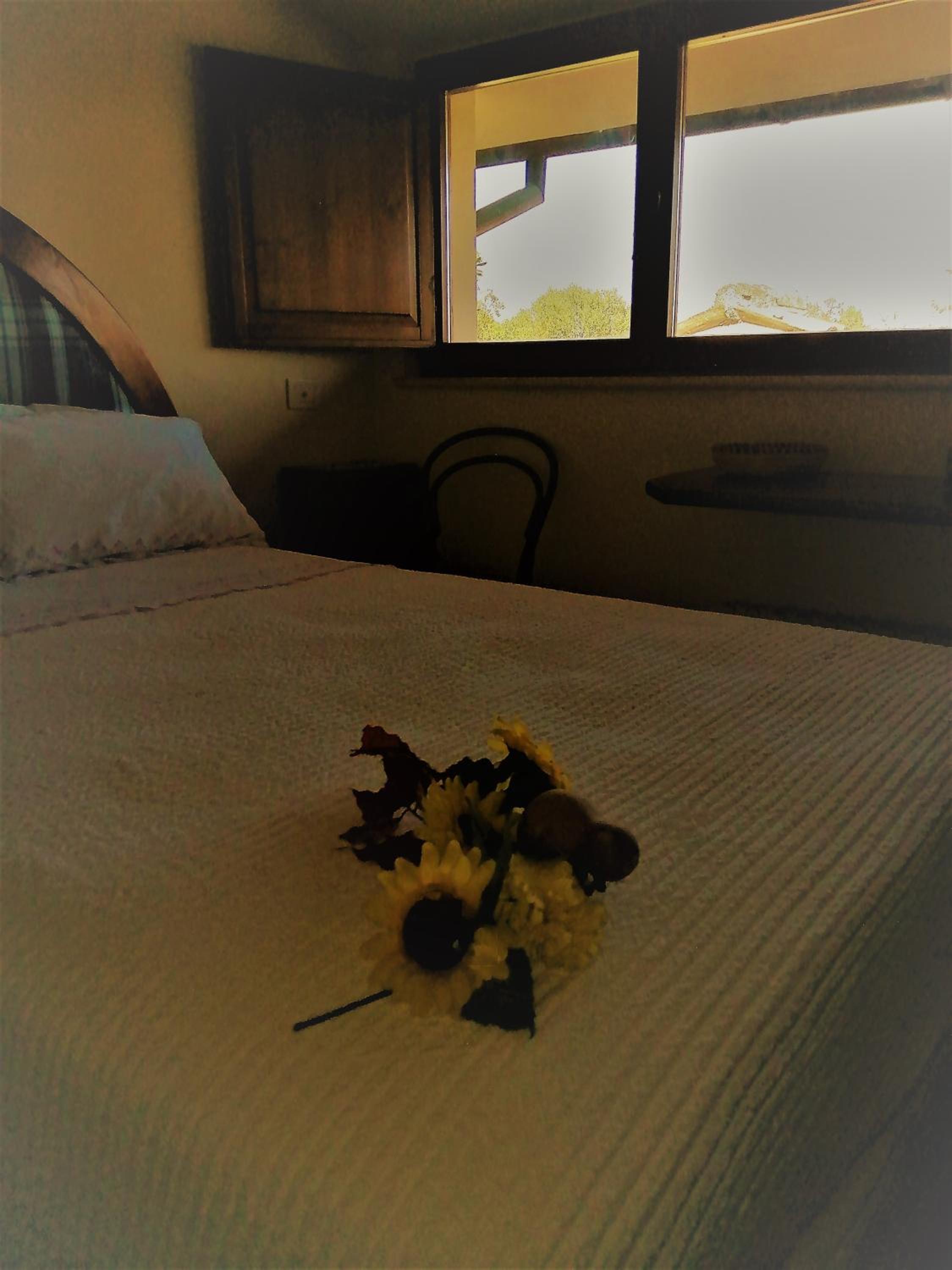 Photo 46