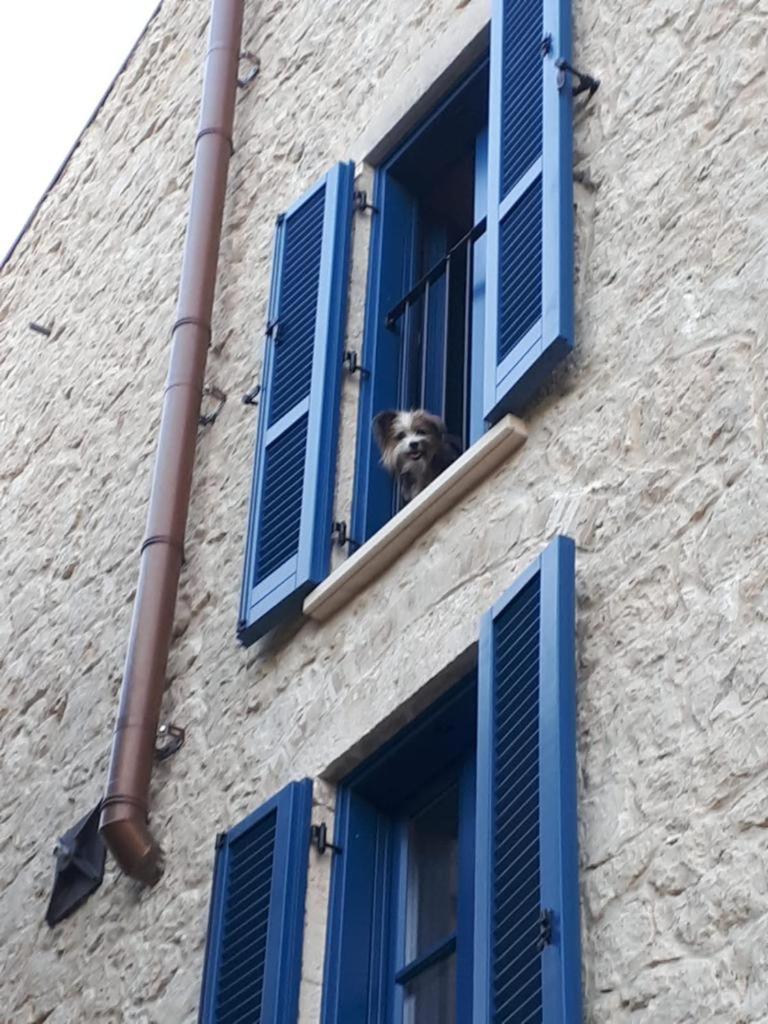 Photo 20