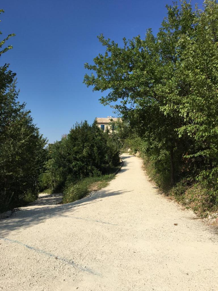 Photo 21