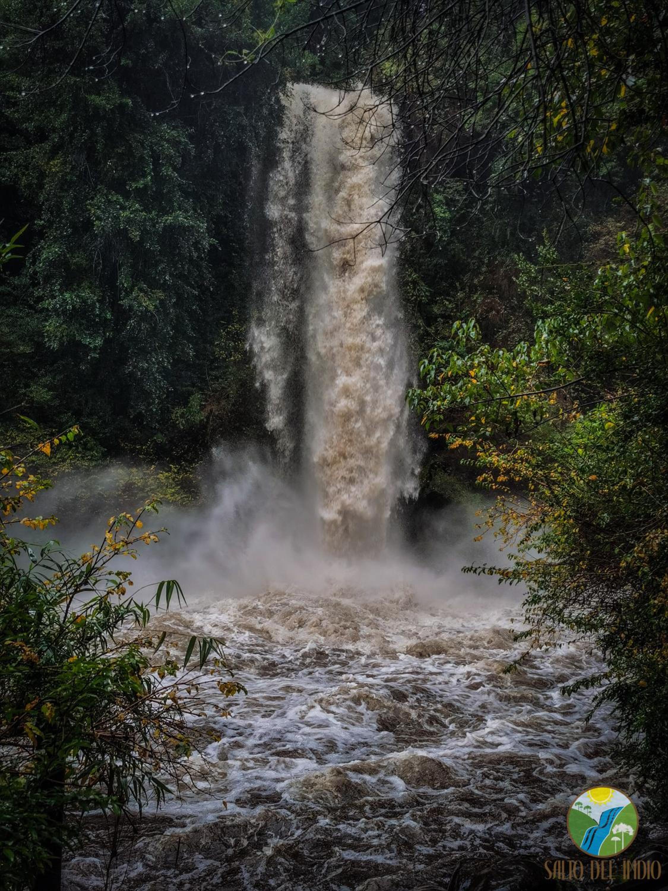 Salto del Indio - Cabañas Lemunantu view 5