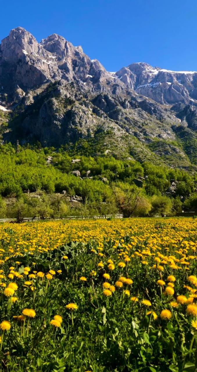 Villas Jezerca