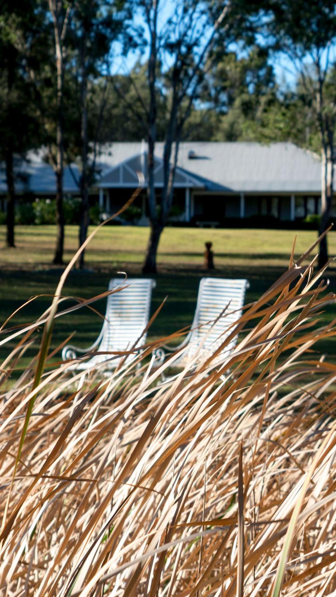 Thistle Hill Guesthouse - walk to many wineries and restaurants