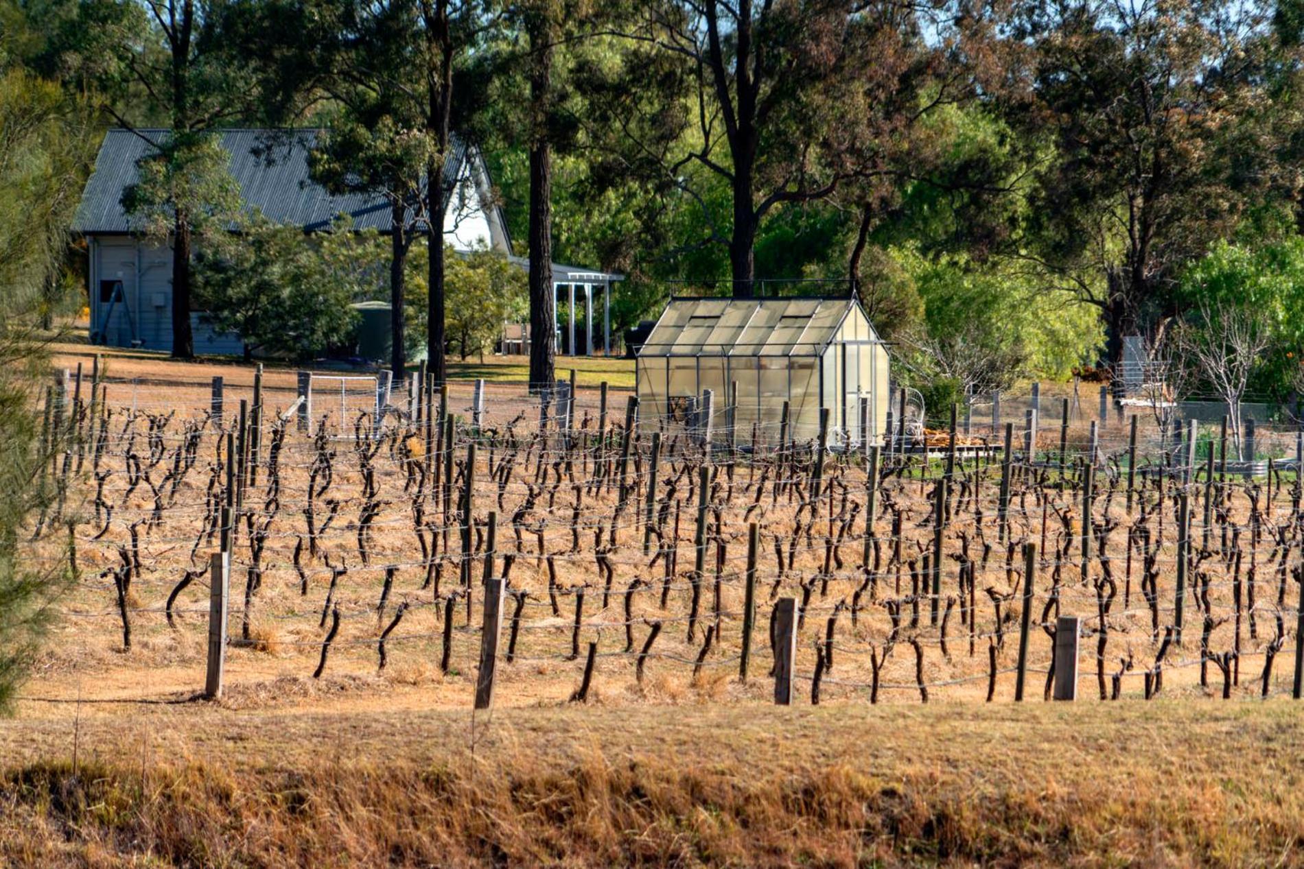 Thistle Hill Guesthouse - walk to many wineries and restaurants