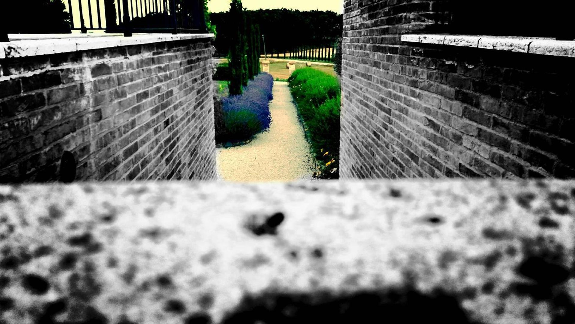 Photo 8