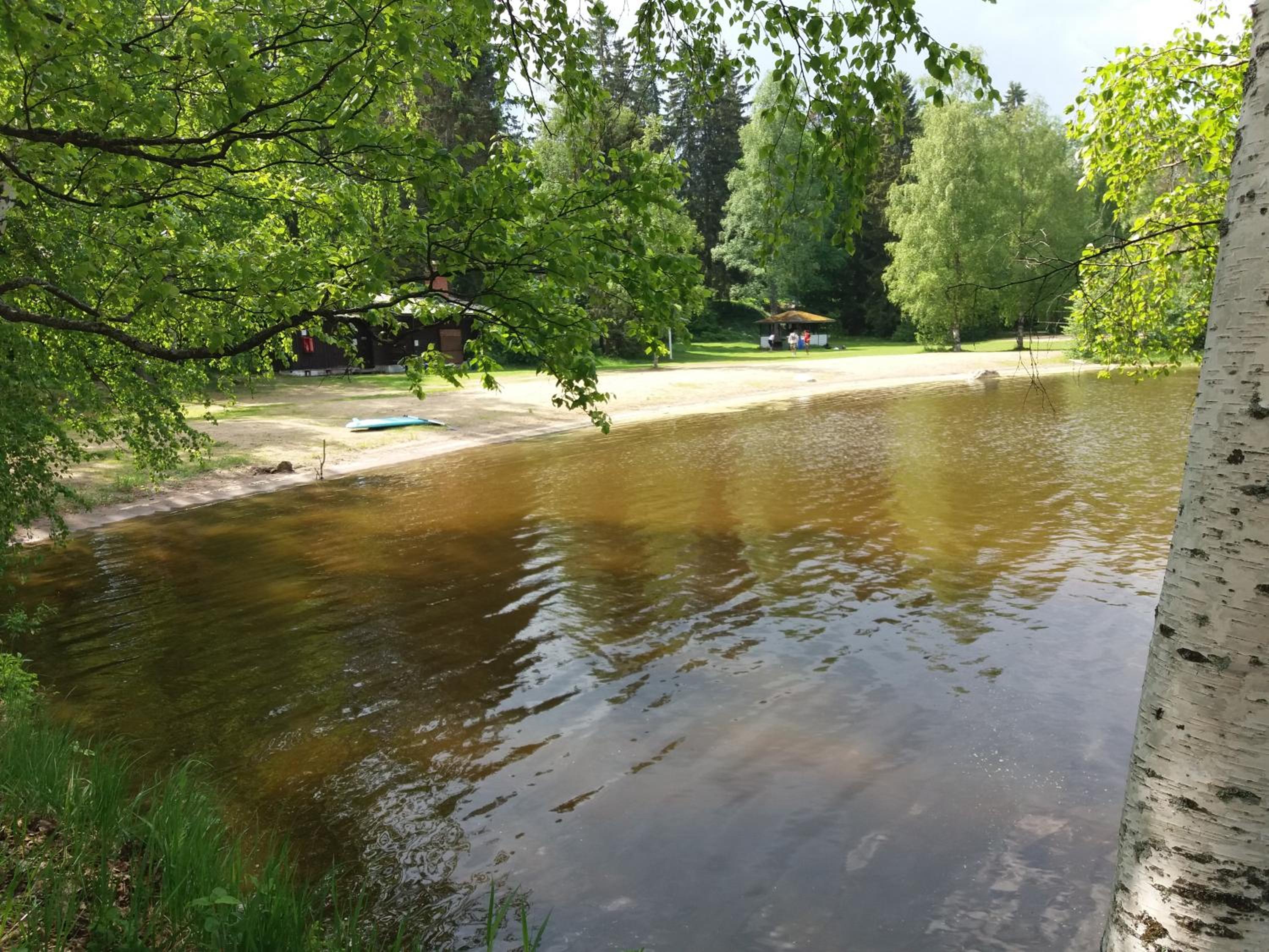 Photo 15