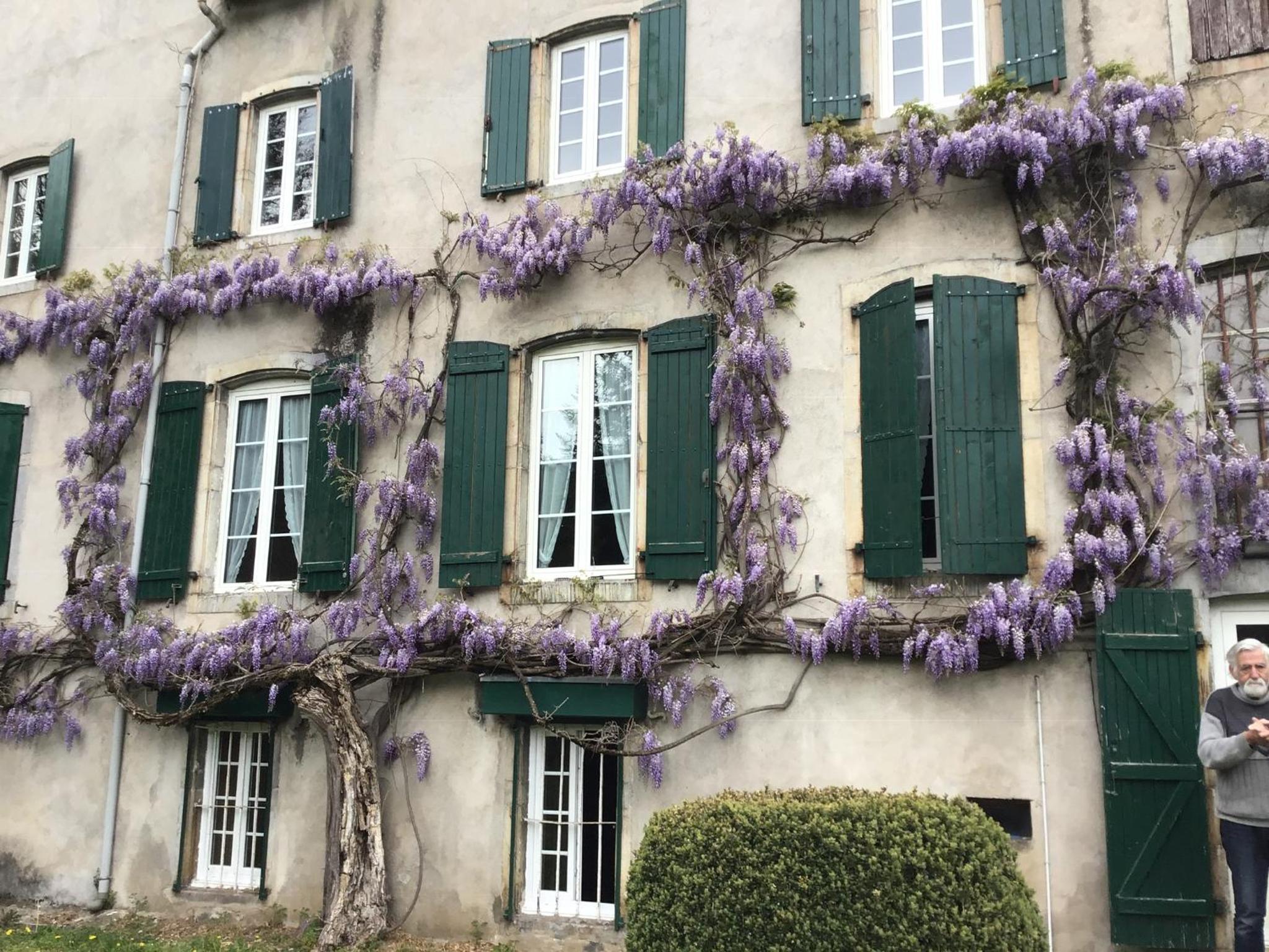 Maison Laclede view 4