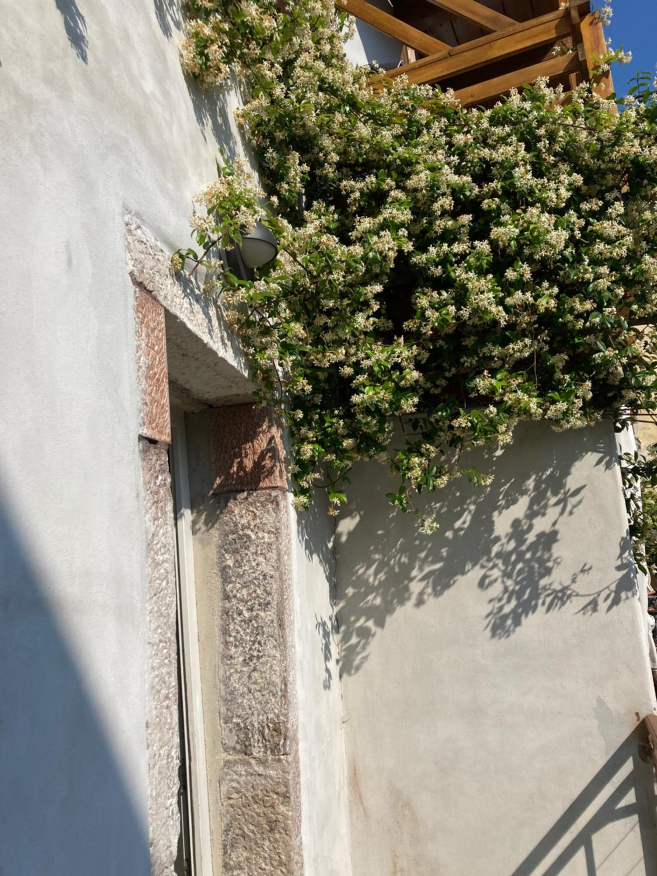 Arco Townhouse