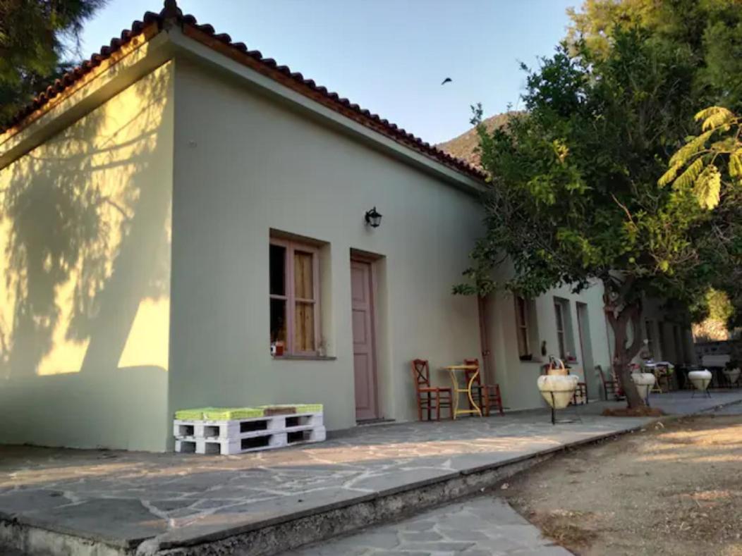 Arsinoe