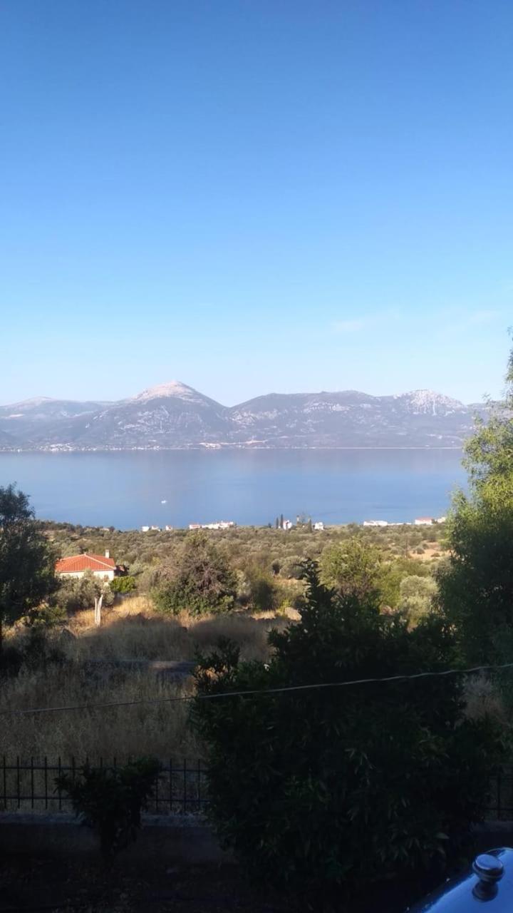 Arsinoe