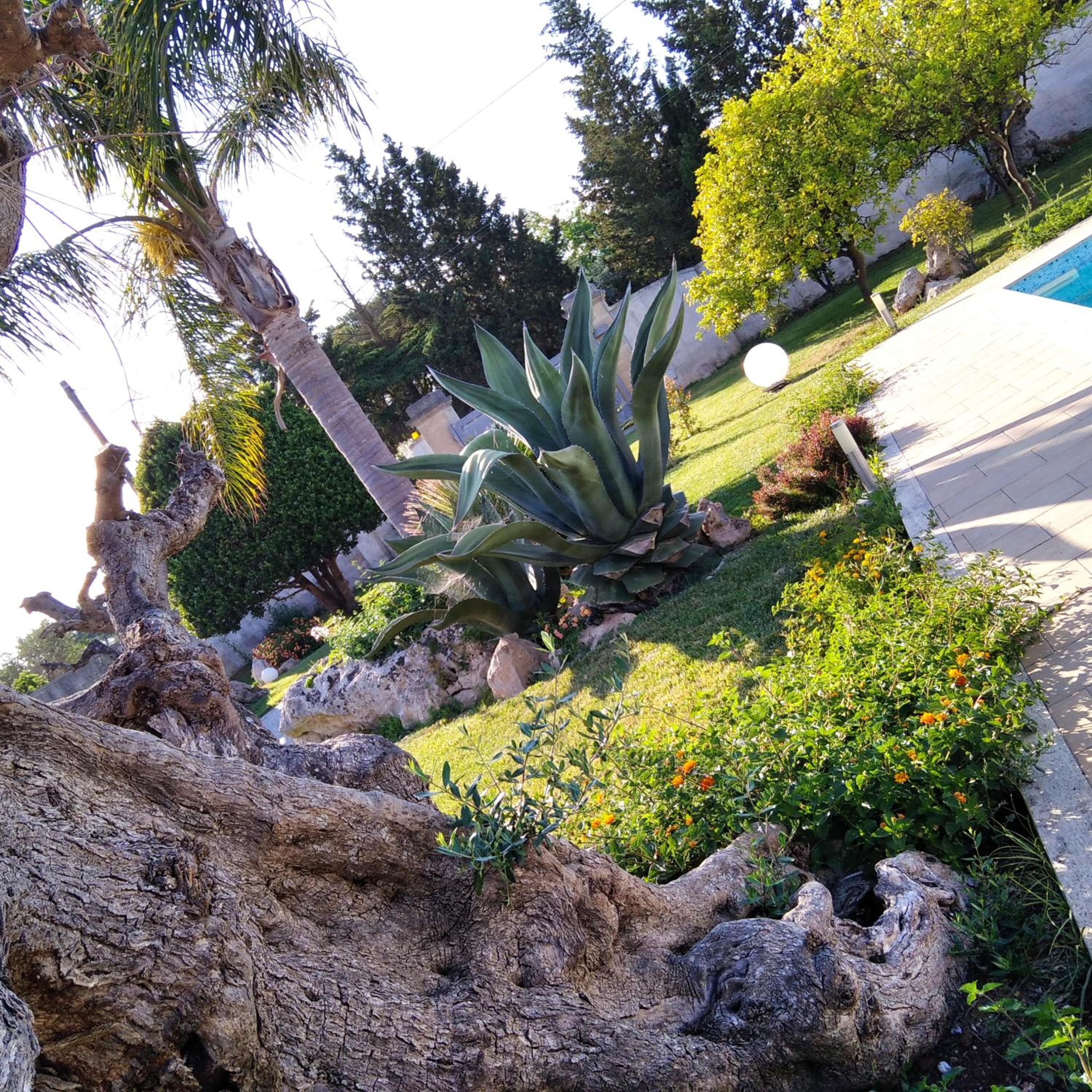 Photo 13