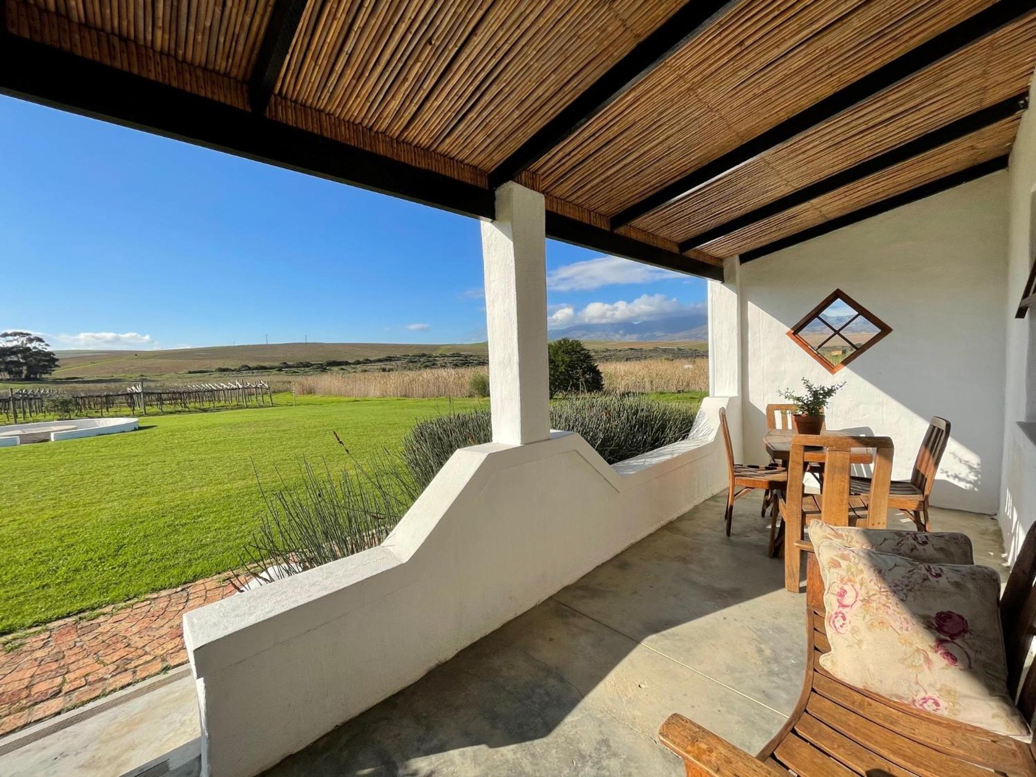 Endless Vineyards at Wildekrans Wine Estate