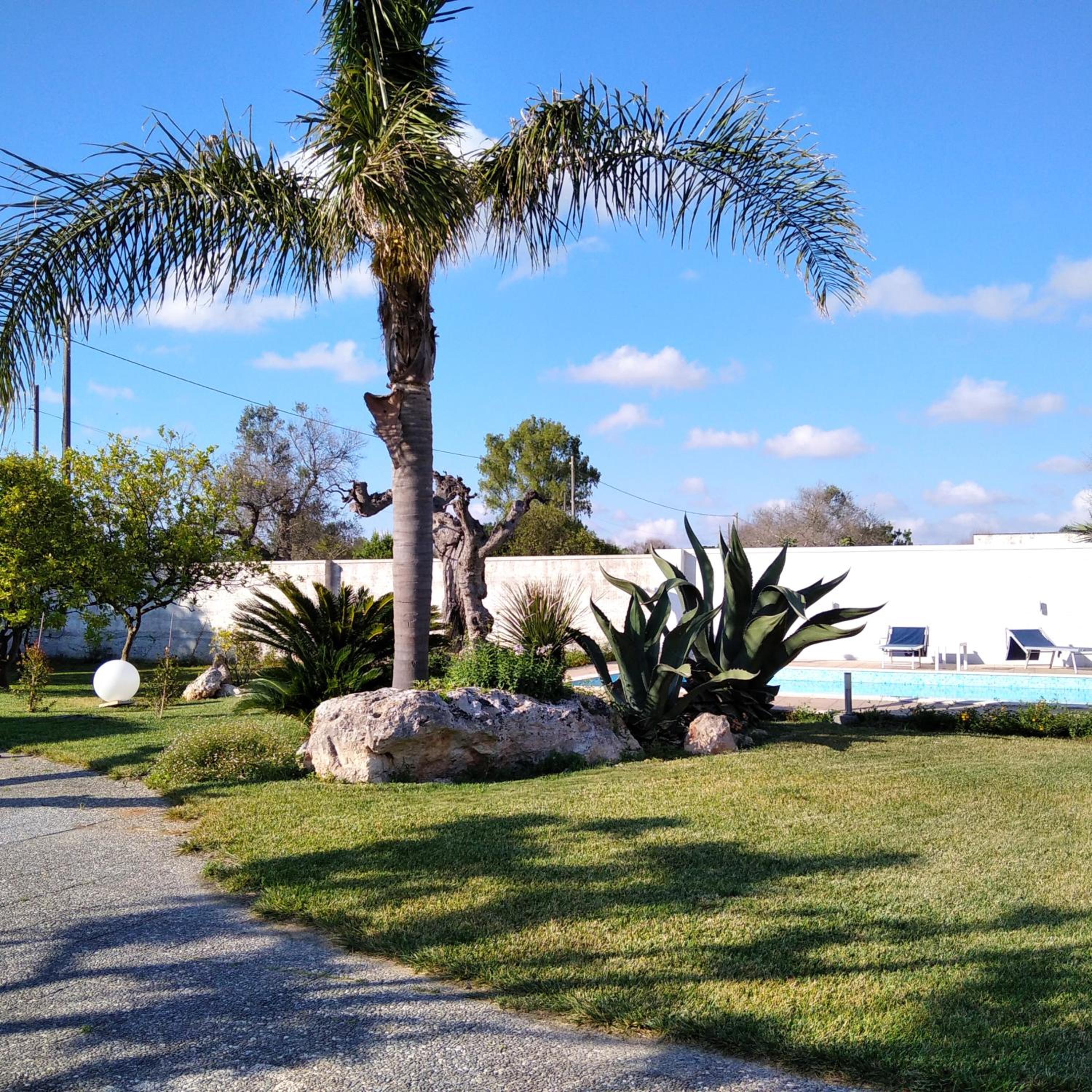 Villa Federico view 2