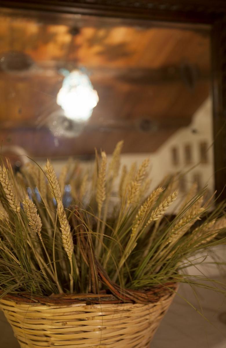 Relais Mastro Cinghiale
