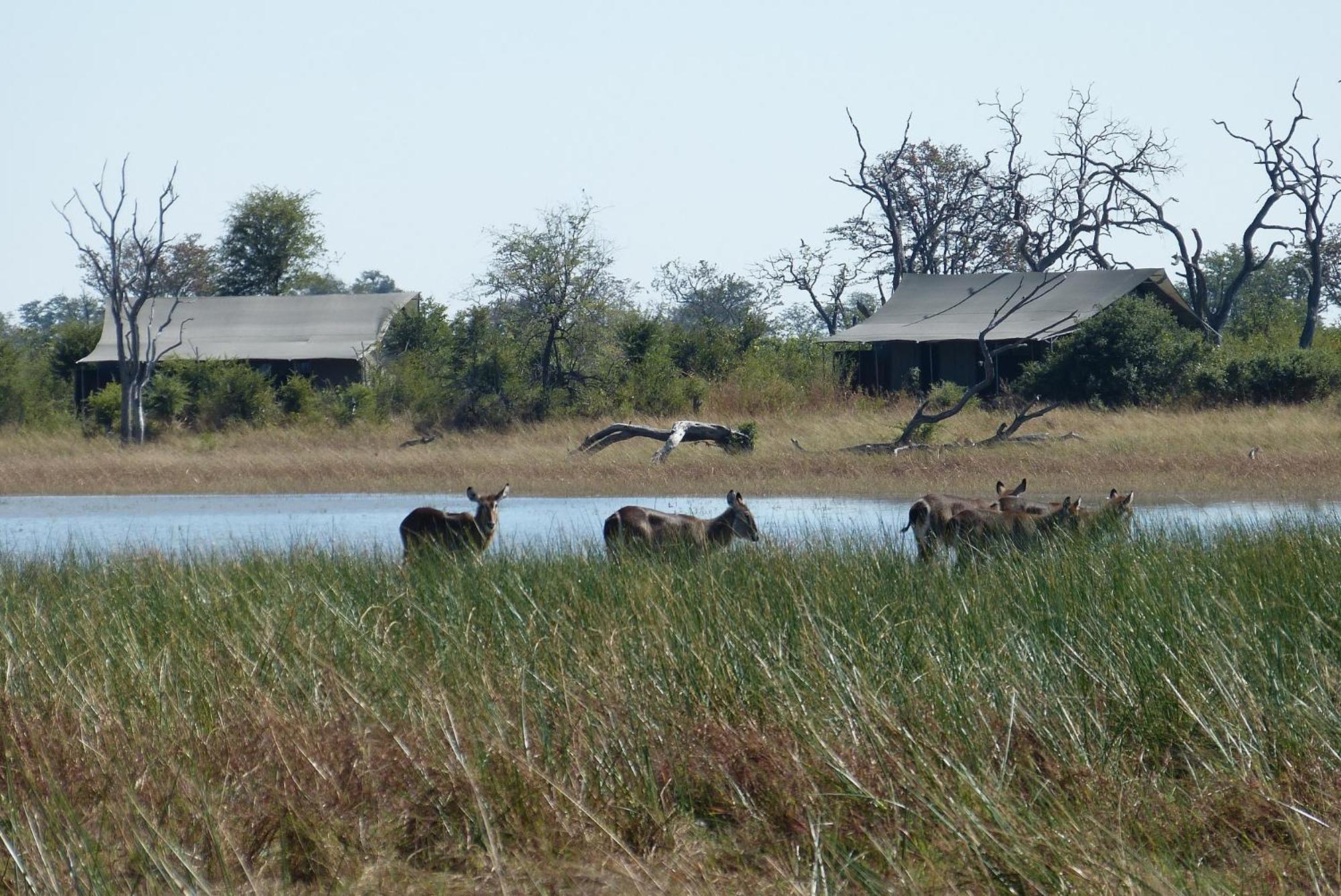Nogatsaa Pans Chobe Lodge
