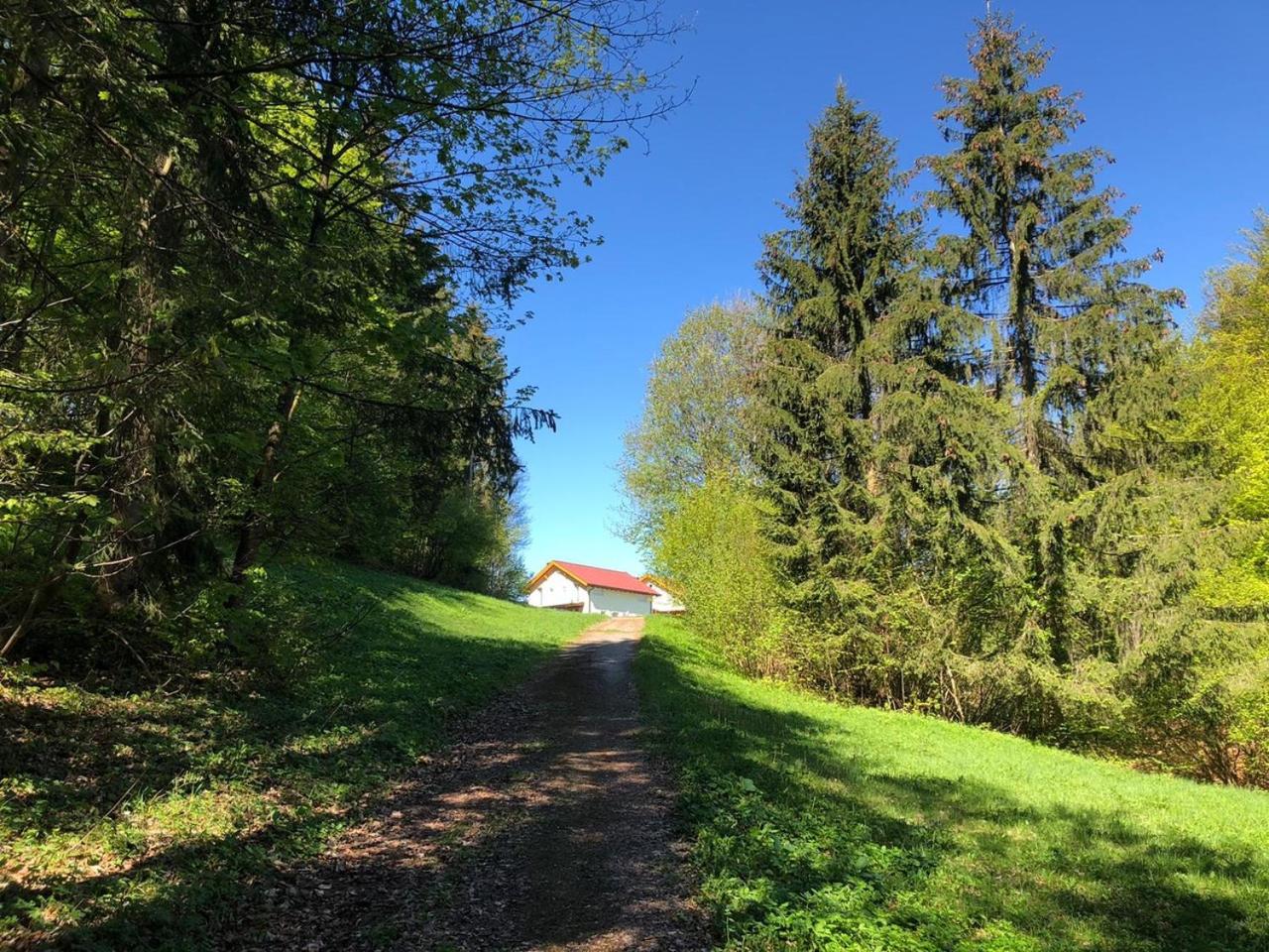 Oachkatzlschwoaf