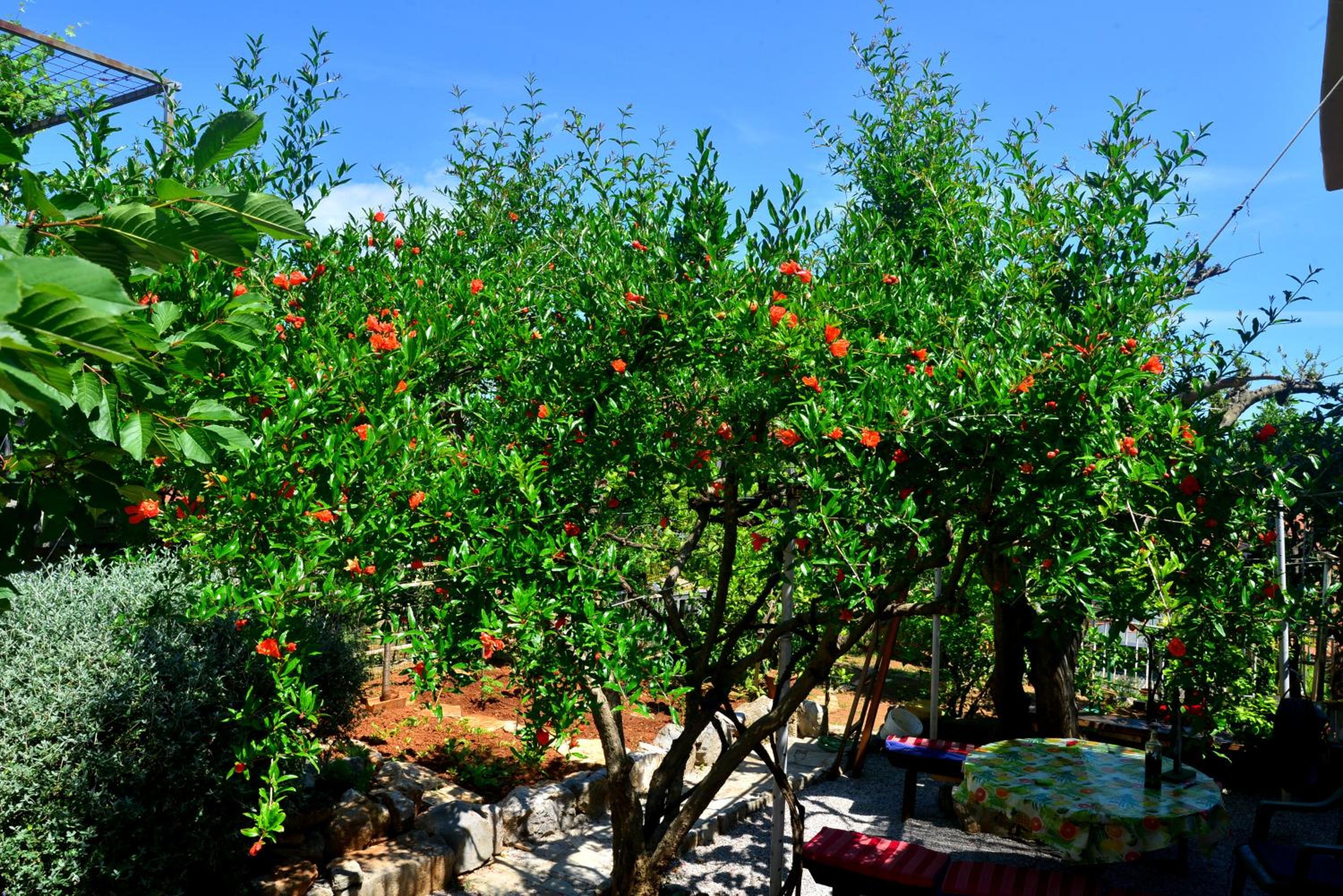 other