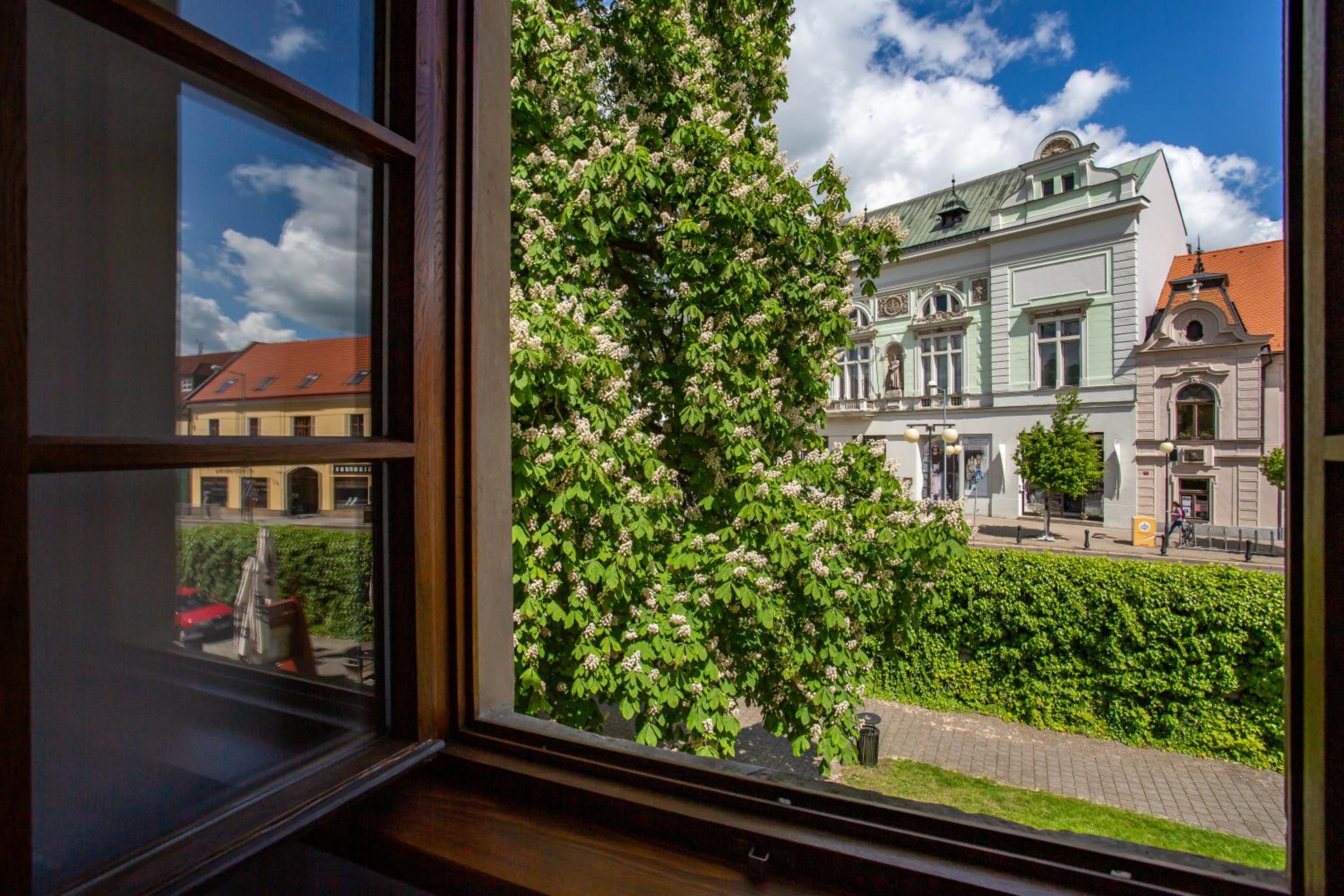 Zámecký hotel & Wellness