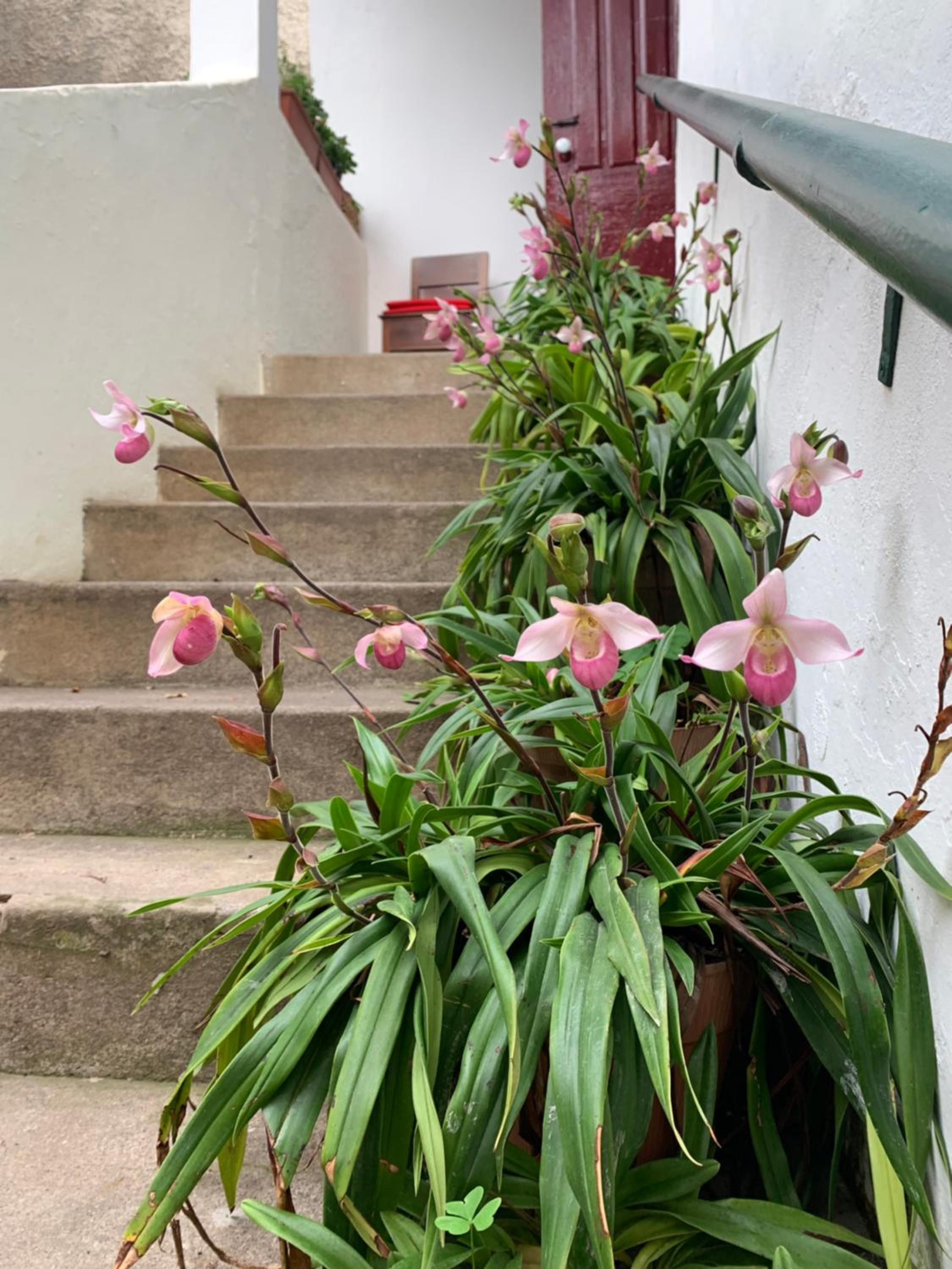 Vitorina Corte Guesthouse