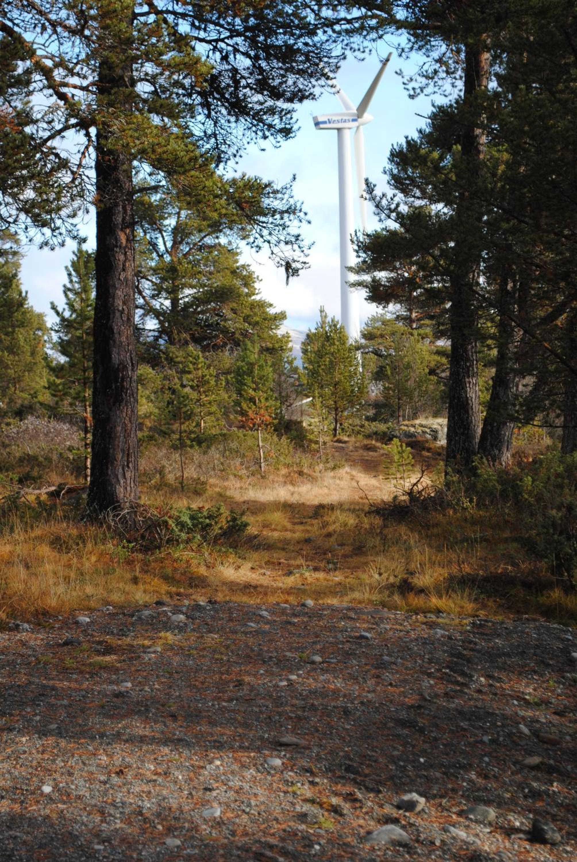 Photo 25