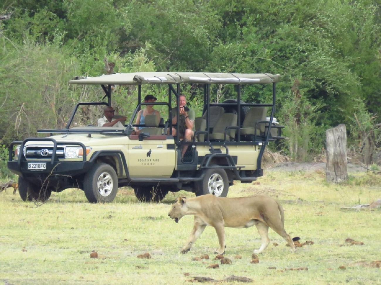 Nogatsaa Pans Chobe Lodge