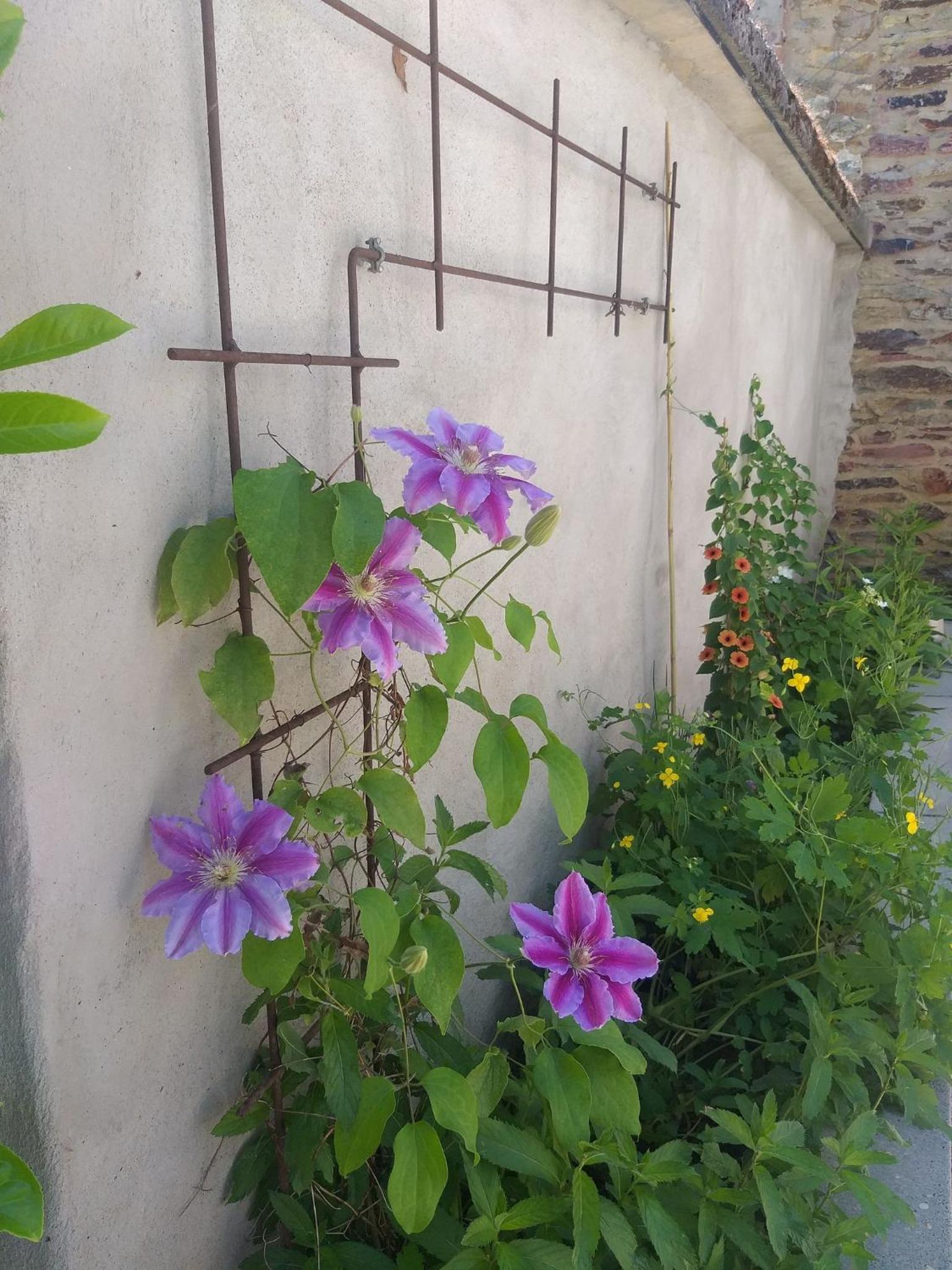 B&B Le Perchoir