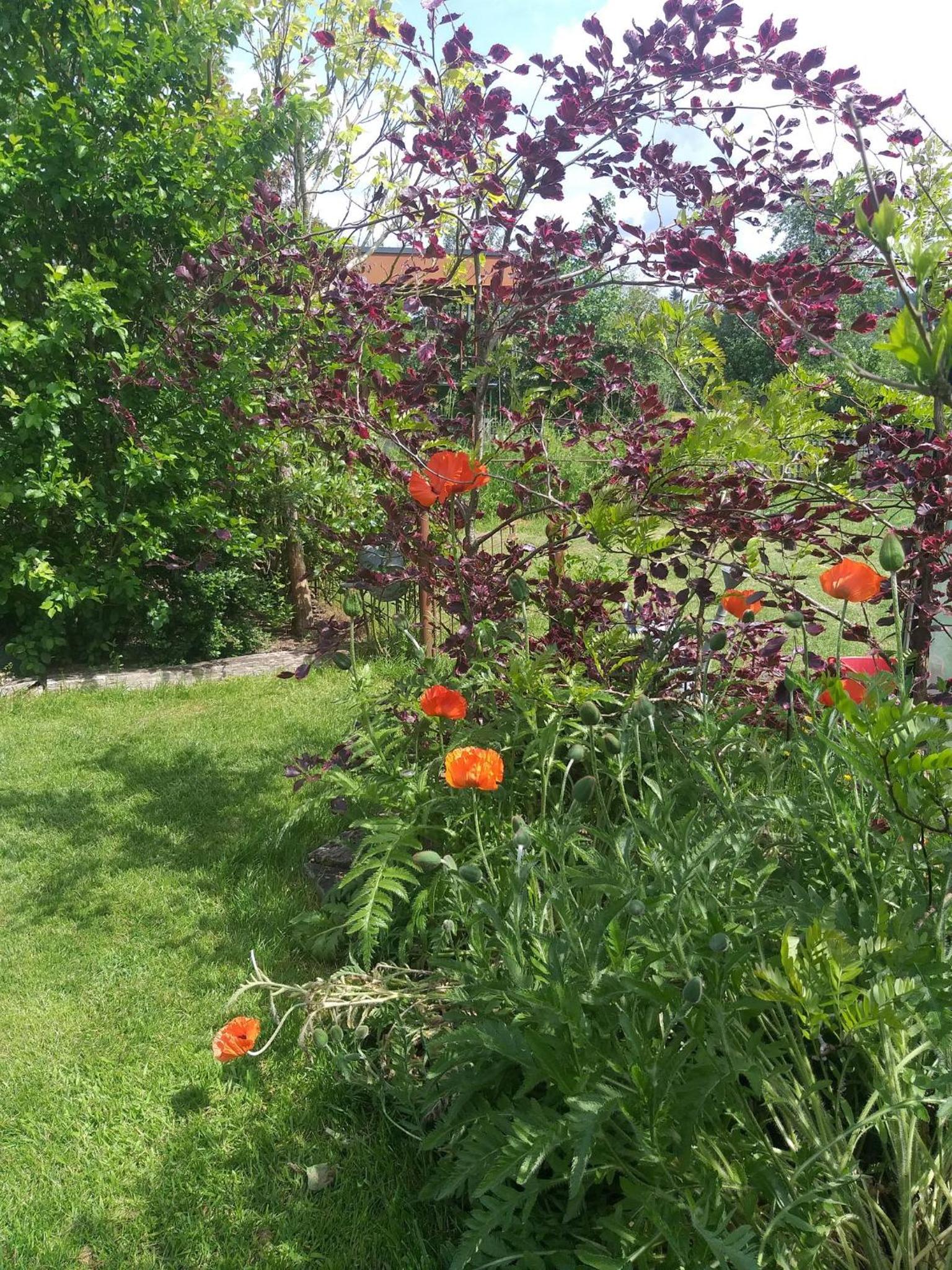 B&B Le Perchoir