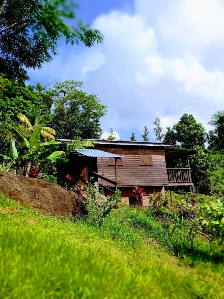 Roots Jungle Retreat