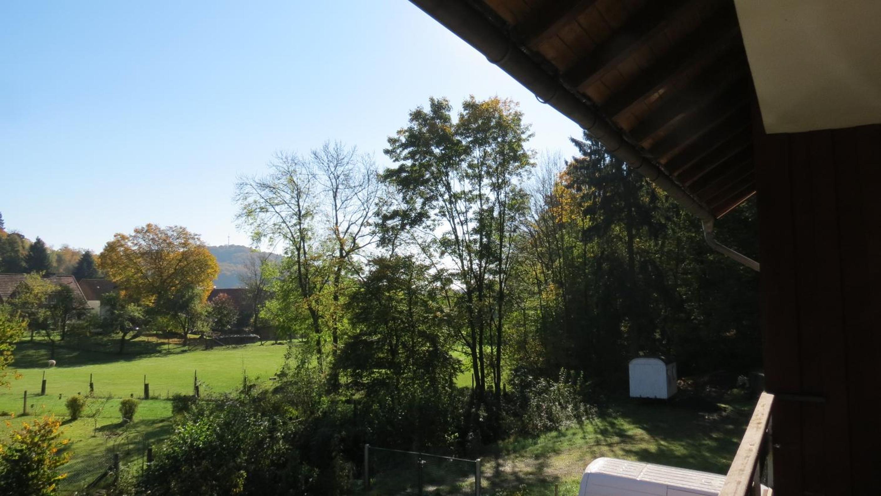 FeWo mit Balkon direkt am Wald und Wanderweg Ruhe pur 2 OG