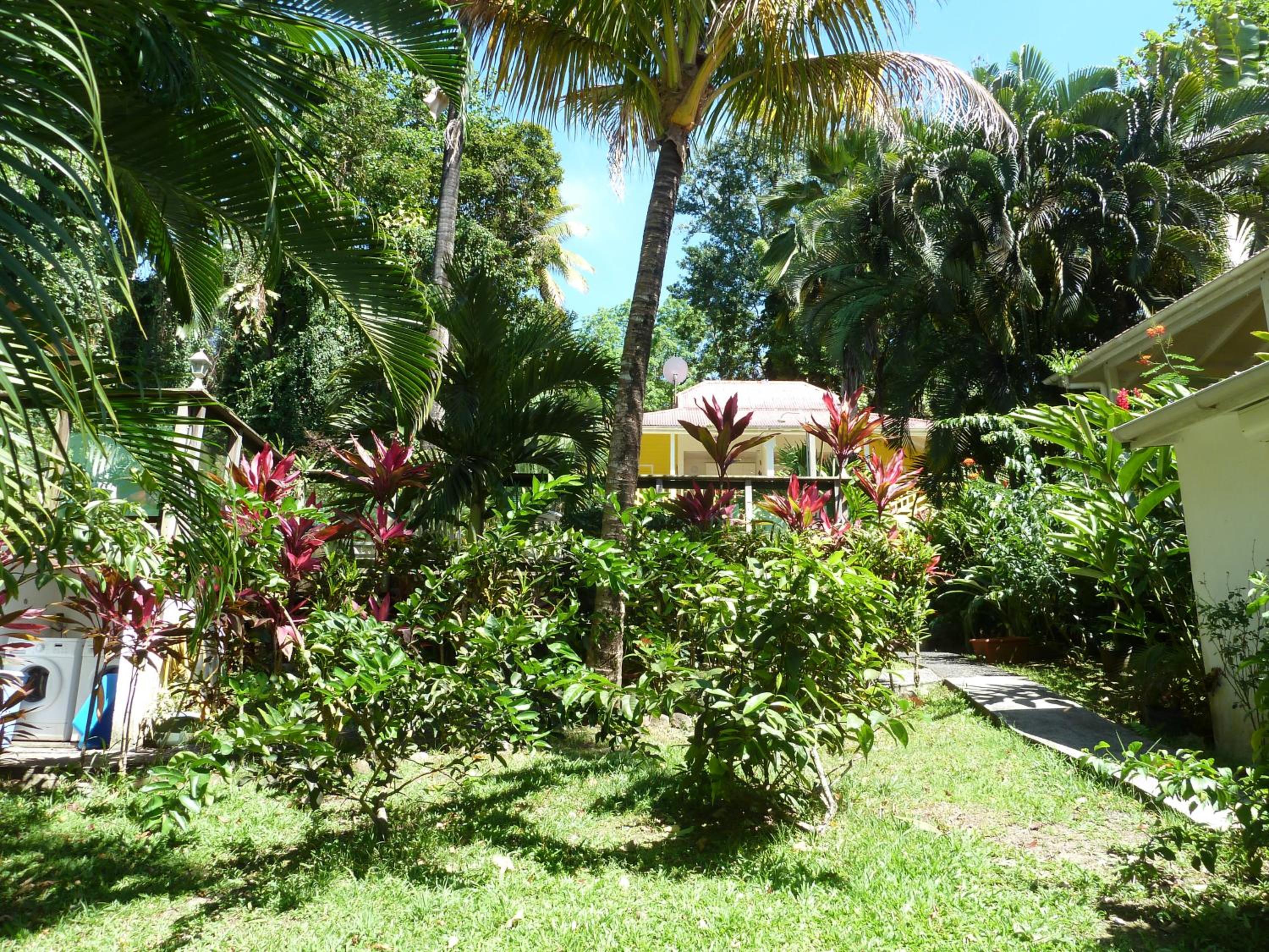 Photo 49